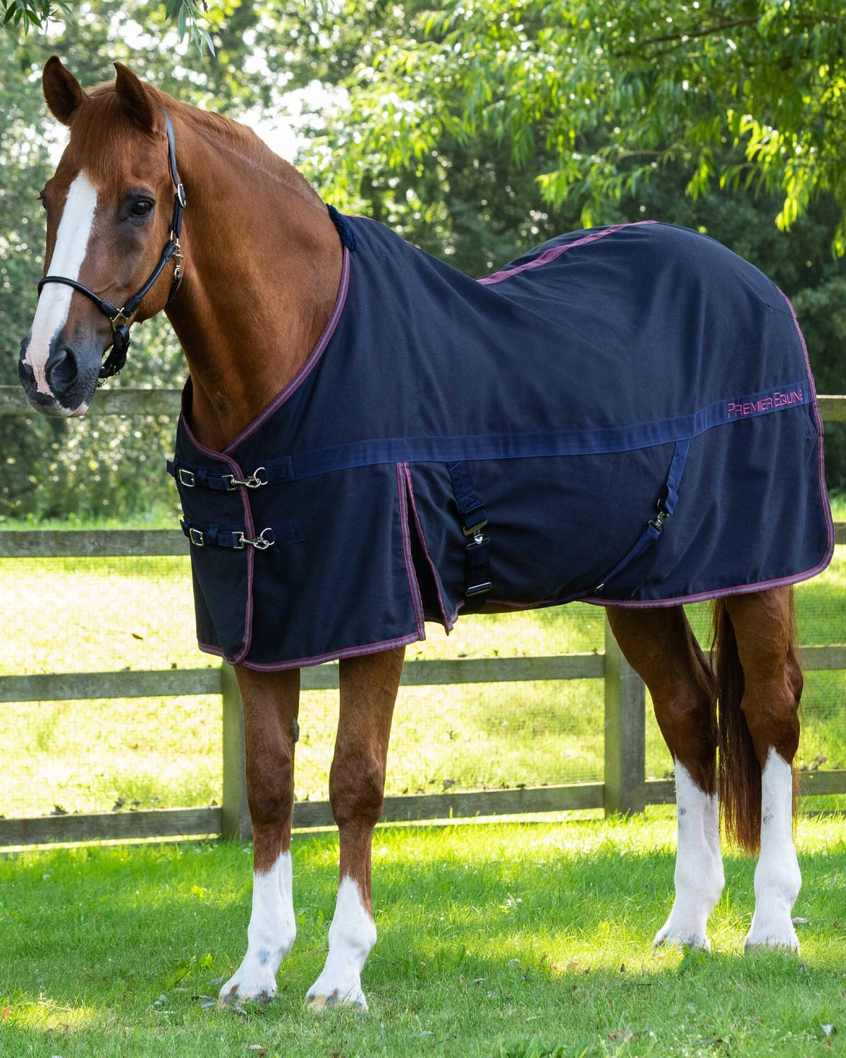 Chestnut Horse Wearing Premier Equine Barrasso Navy Stable Sheet from Equiflair. Horse Blanket