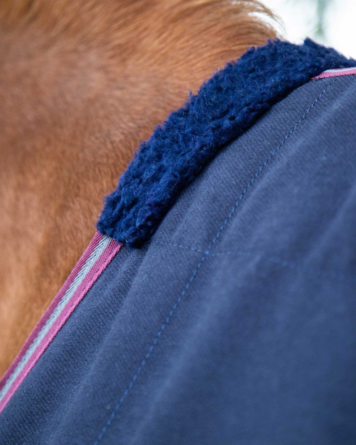 Premier Equine Barrasso Navy Stable Sheet: Breathable horse rug with shearling wither protection.