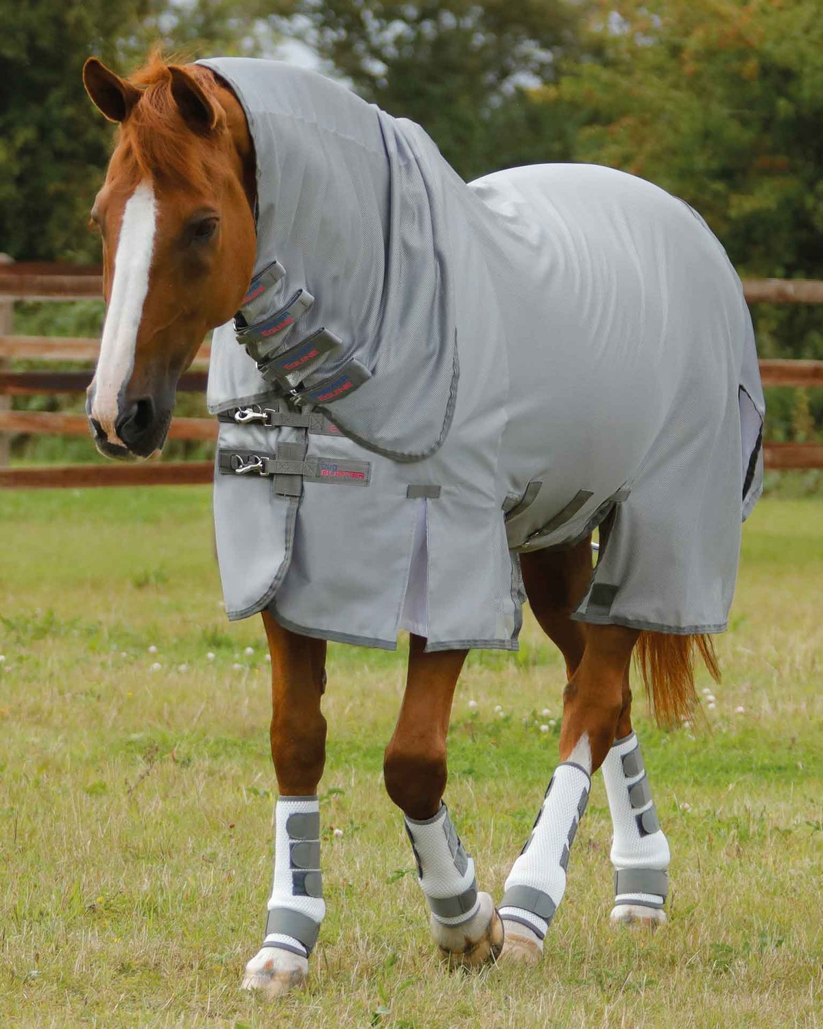 Premier Equine Combo Bug Buster Fly Rug with Belly Flap Silver