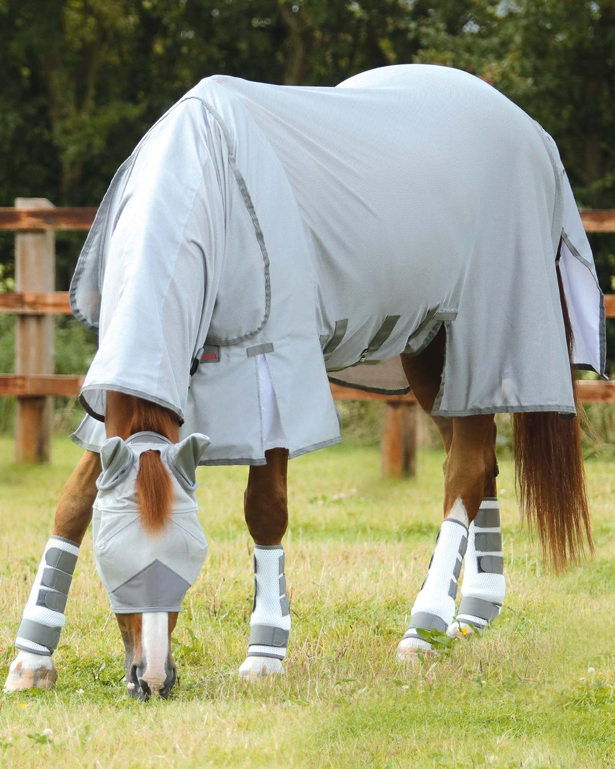 Premier Equine Combo Bug Buster Fly Rug with Belly Flap Silver