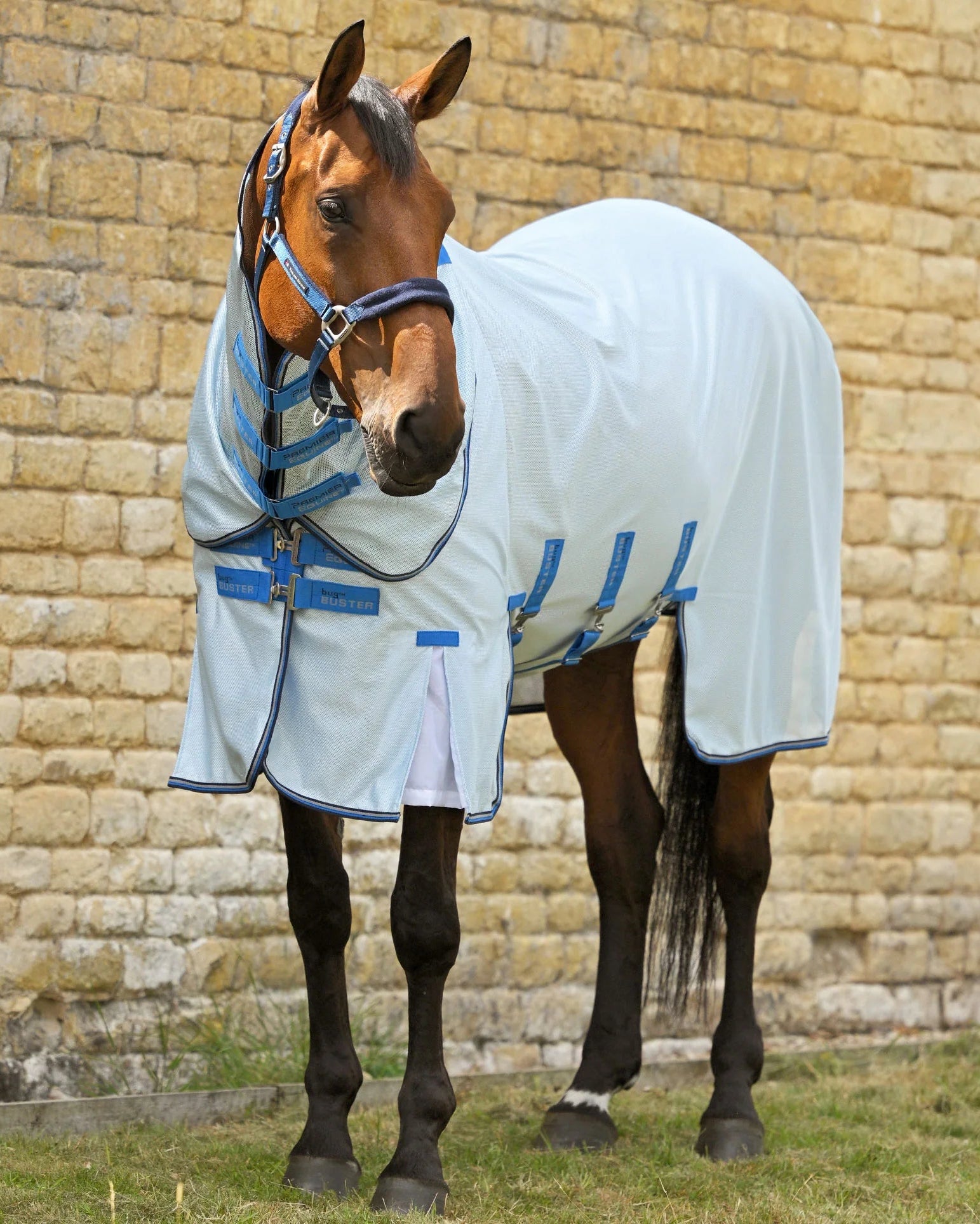 Premier Equine Fly Rug: Insect & UV Protection for Horses. Detachable Neck Included.
