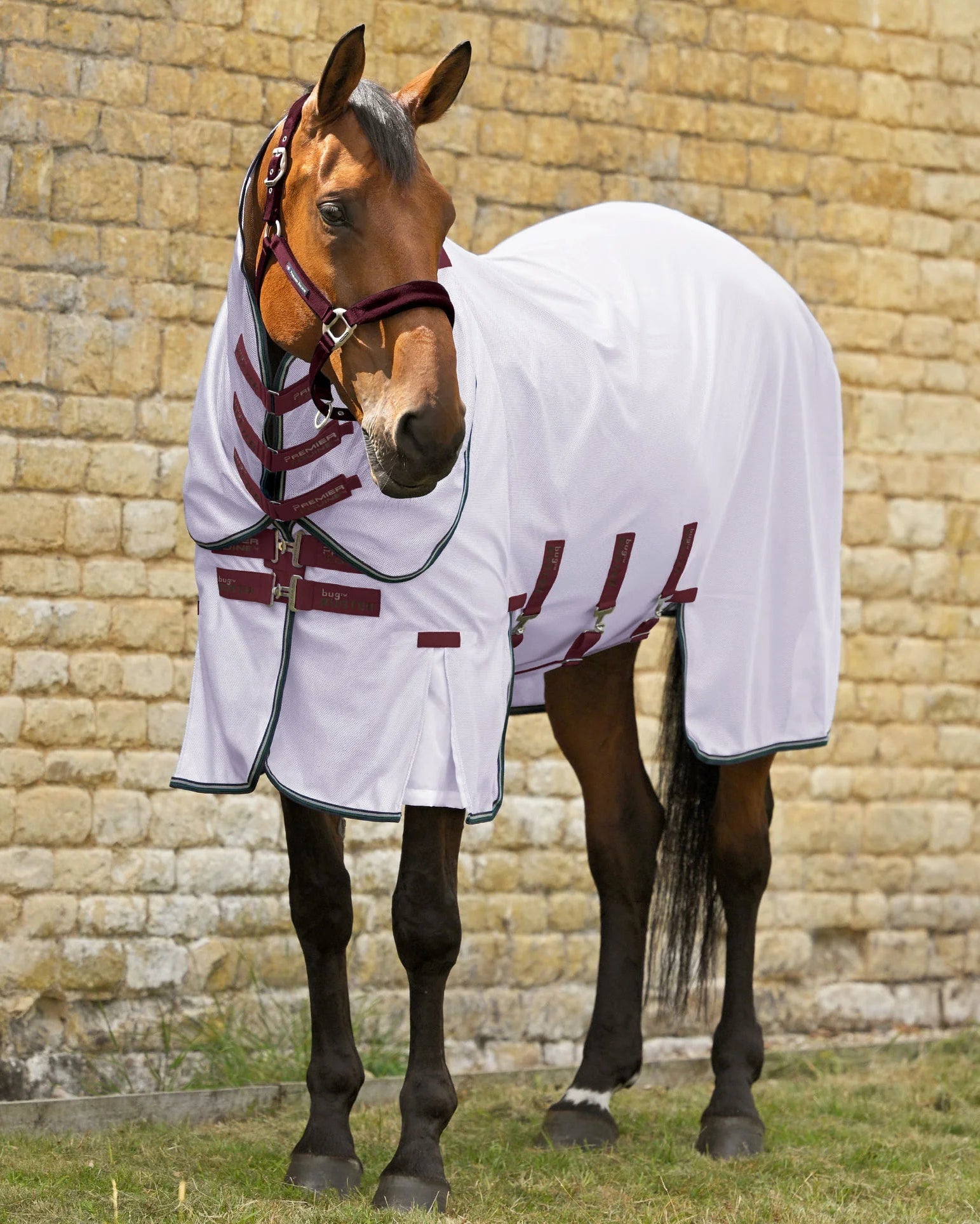 Premier Equine Bug Buster Fly Rug with Detachable Neck and Belly Flap Lavender - Fly Protection Horse 5'0"