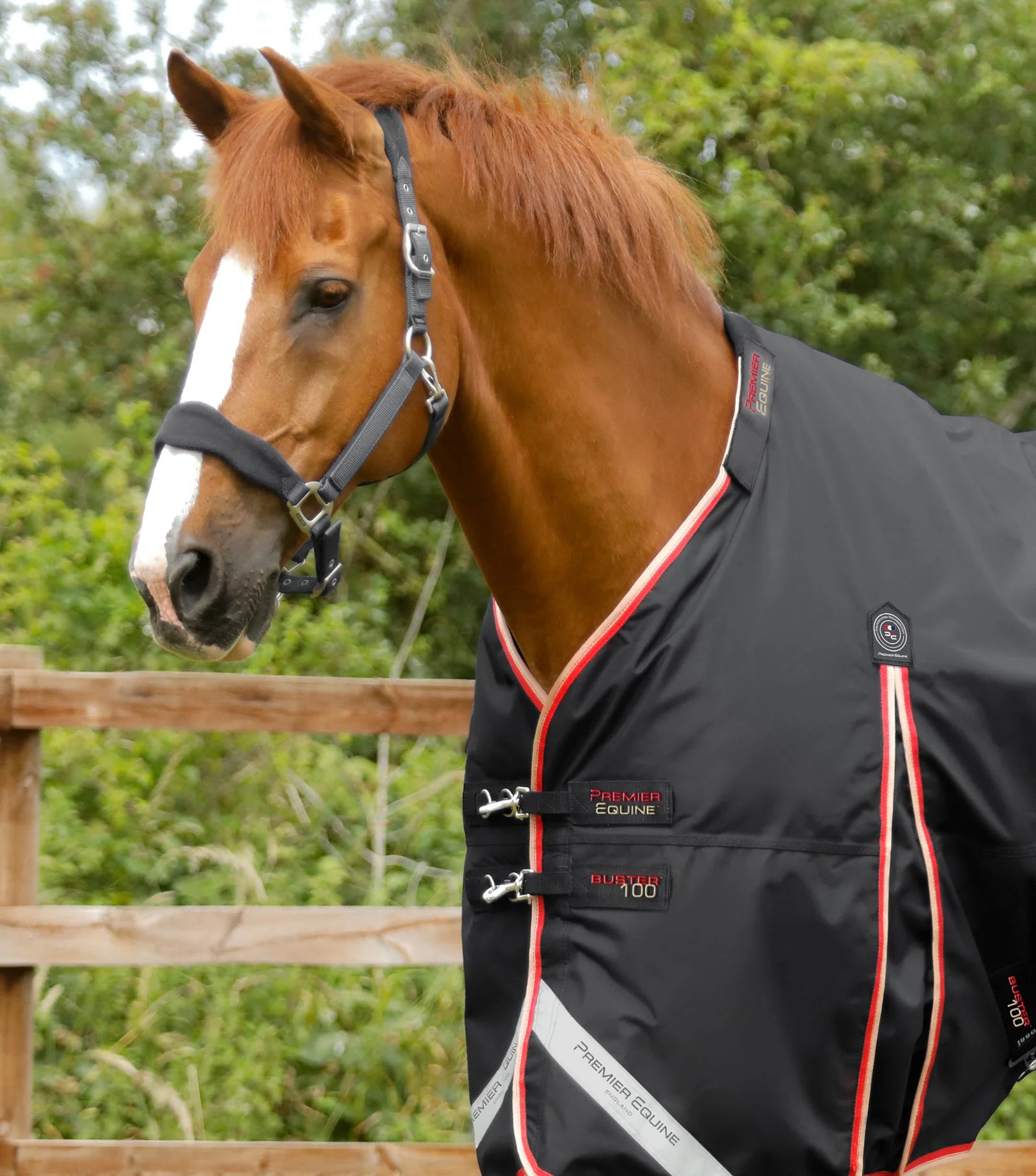 Premier Equine Buster 100g Turnout Rug with Snug-Fit Neck Cover Black