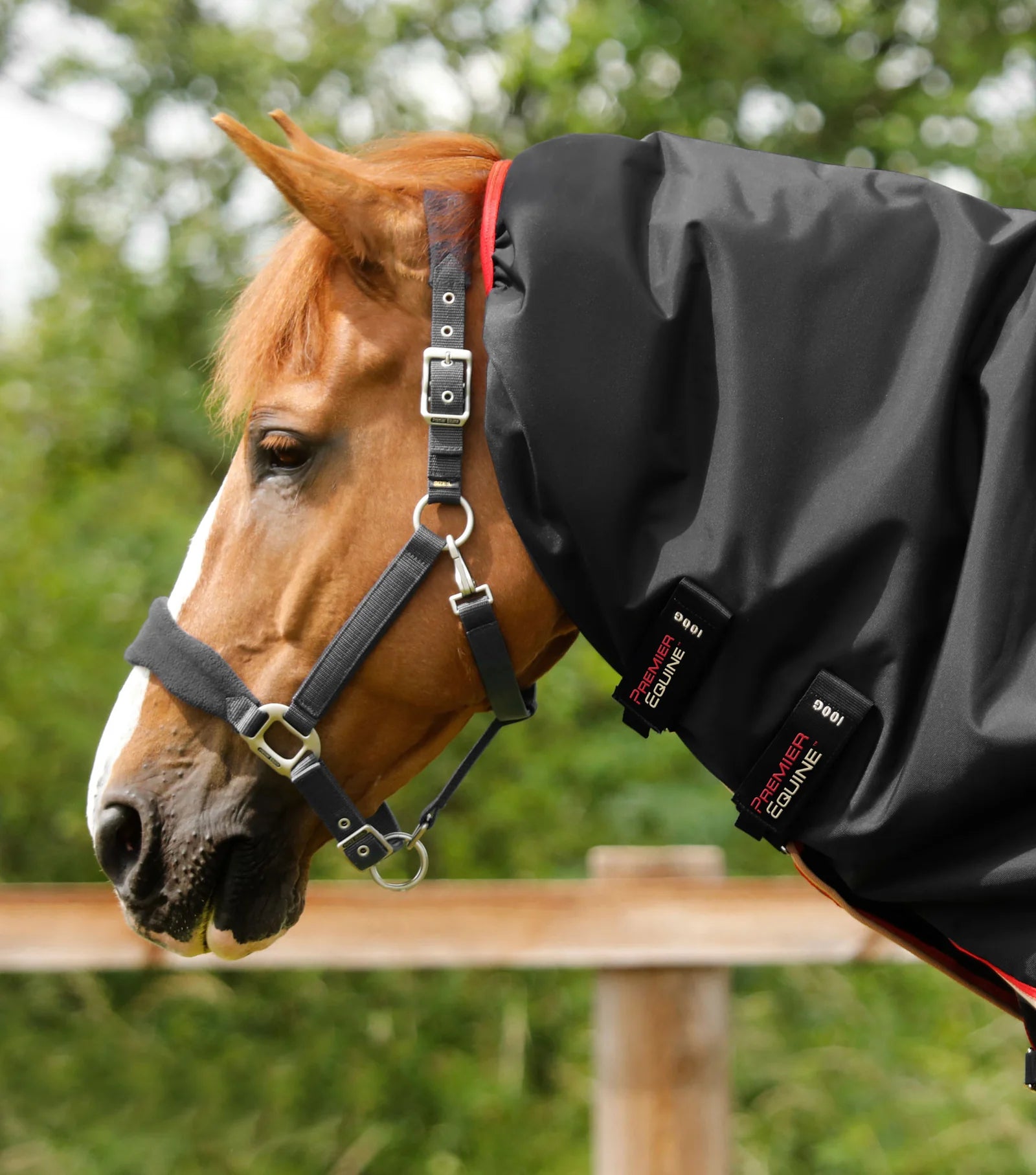 Premier Equine Buster 100g Turnout Rug with Snug-Fit Neck Cover Black