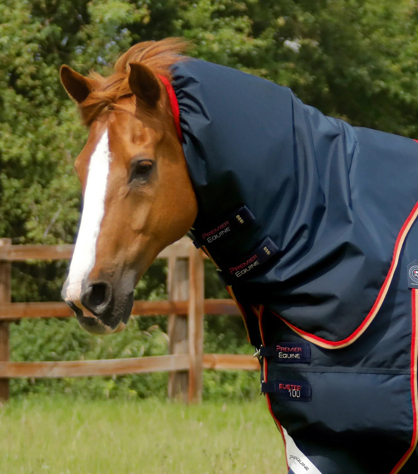 Premier Equine Buster 100g Turnout Rug with Snug-Fit Neck Cover Navy