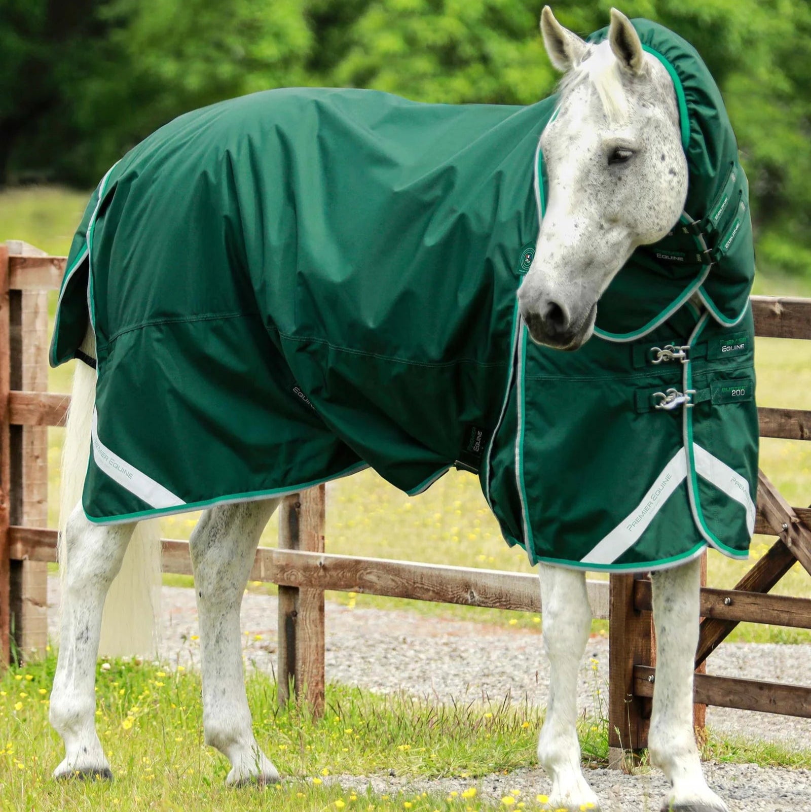 Premier Equine Buster 200g Turnout Rug with Snug-Fit Neck Cover Green