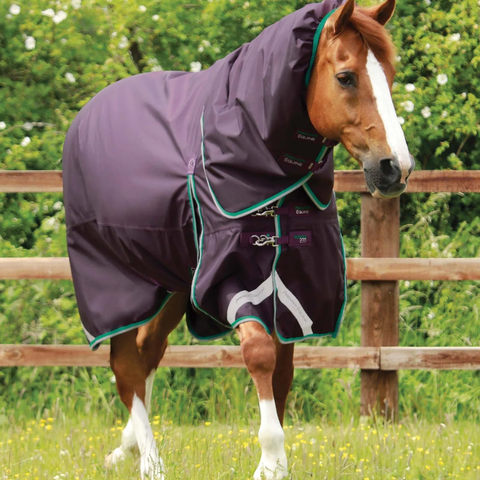Premier Equine Buster 200g Turnout Rug with Snug-Fit Neck Cover Purple