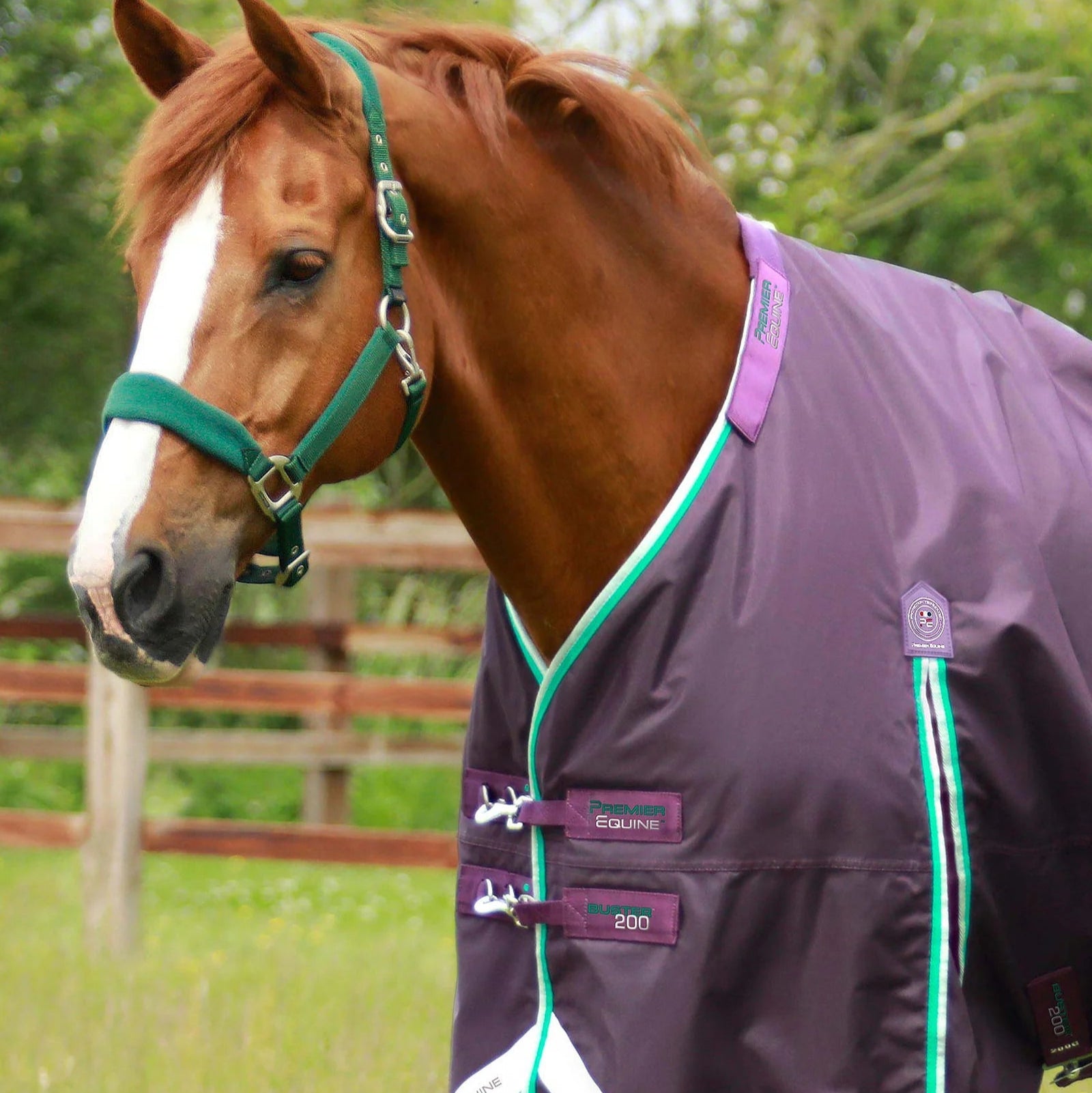 Premier Equine Buster 200g Turnout Rug with Snug-Fit Neck Cover Purple