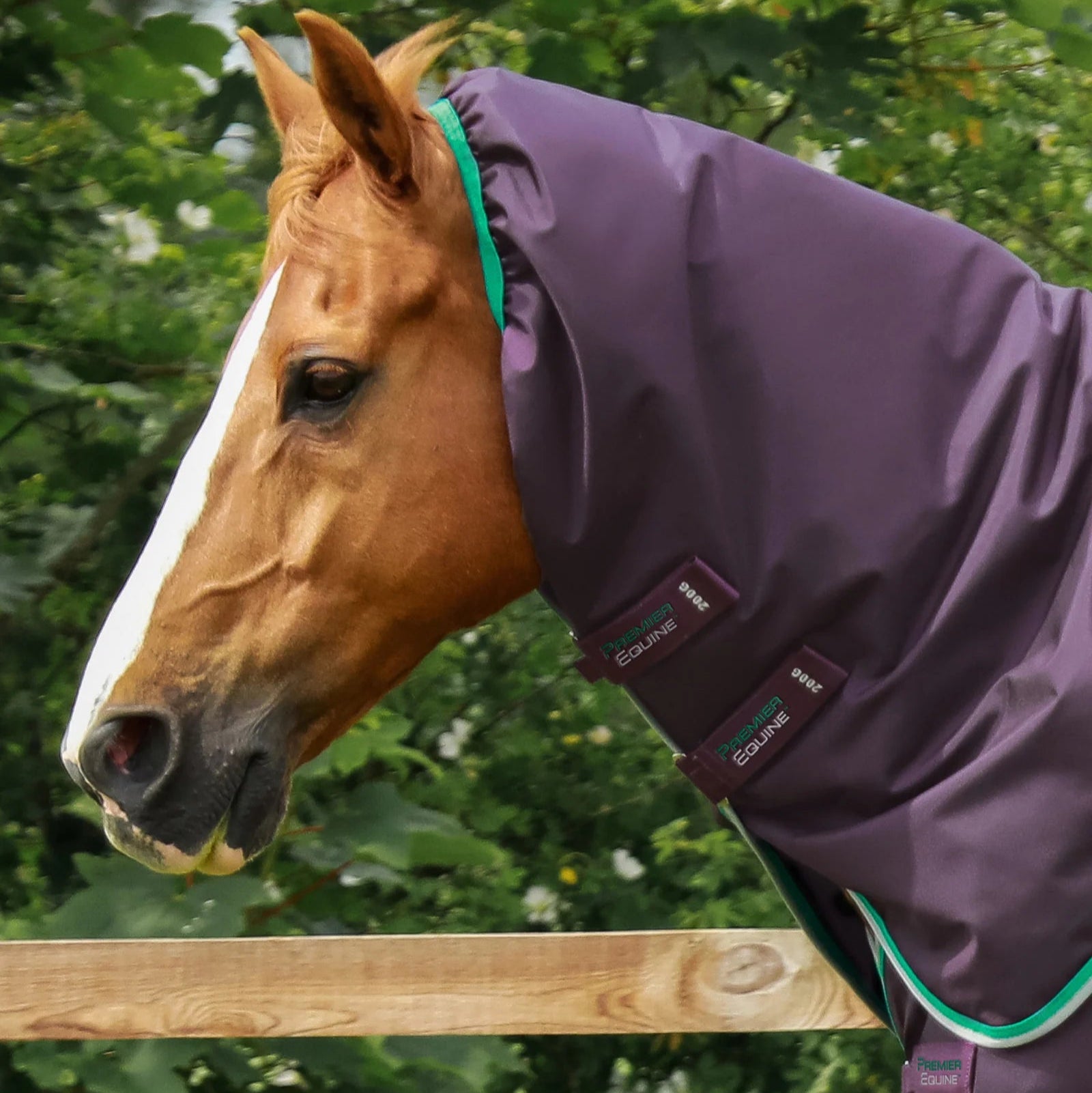 Premier Equine Buster 200g Turnout Rug with Snug-Fit Neck Cover Purple