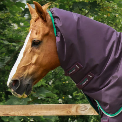 Premier Equine Buster 200g Turnout Rug with Snug-Fit Neck Cover Purple