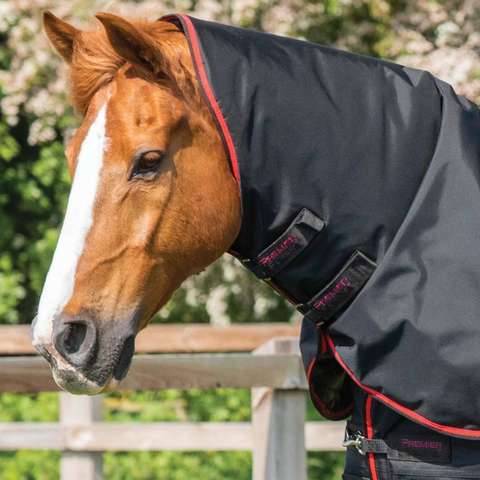 Premier Equine Buster 250g Turnout Rug with Classic Neck Cover Black