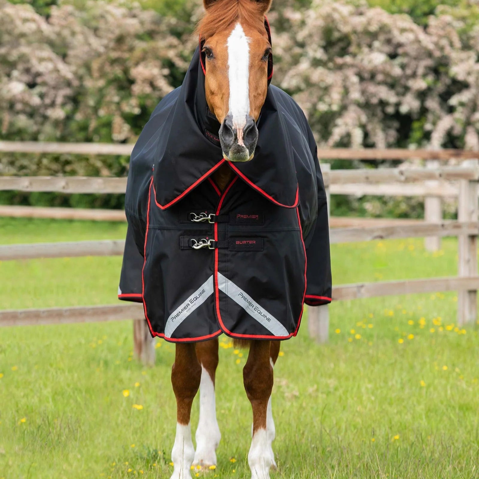 Premier Equine Buster 250g Turnout Rug with Classic Neck Cover Black