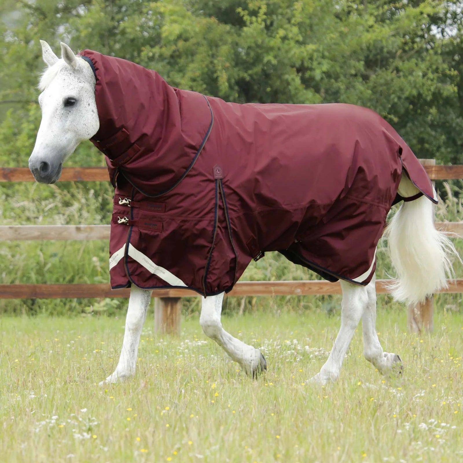 Premier Equine Buster 400g Turnout Rug with Snug-Fit Neck Cover Burgundy