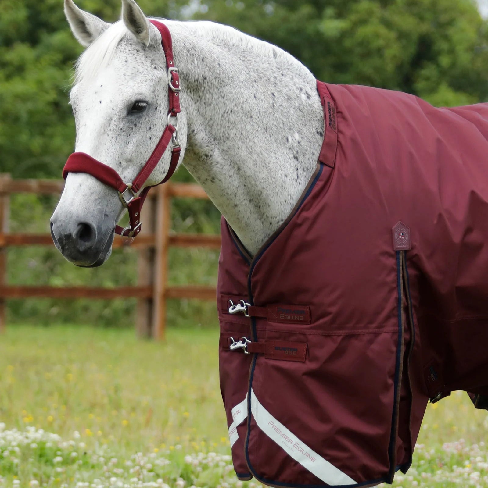 Premier Equine Buster 400g Turnout Rug with Snug-Fit Neck Cover Burgundy