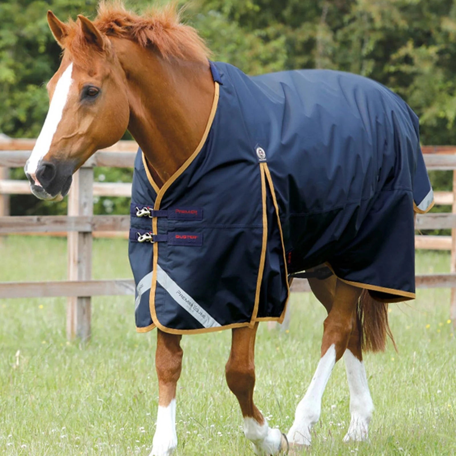 Premier Equine Buster 50g Original Turnout Rug Navy