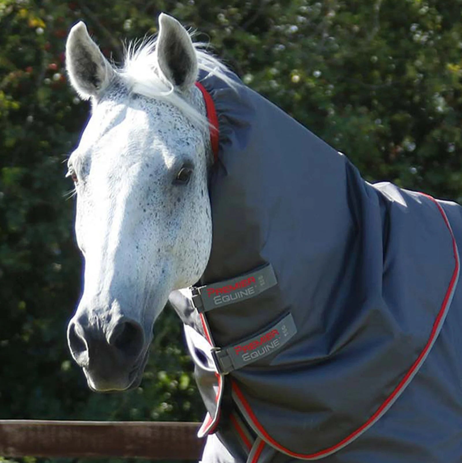 Premier Equine Buster 50g Turnout Rug with Snug-Fit Neck Cover Grey