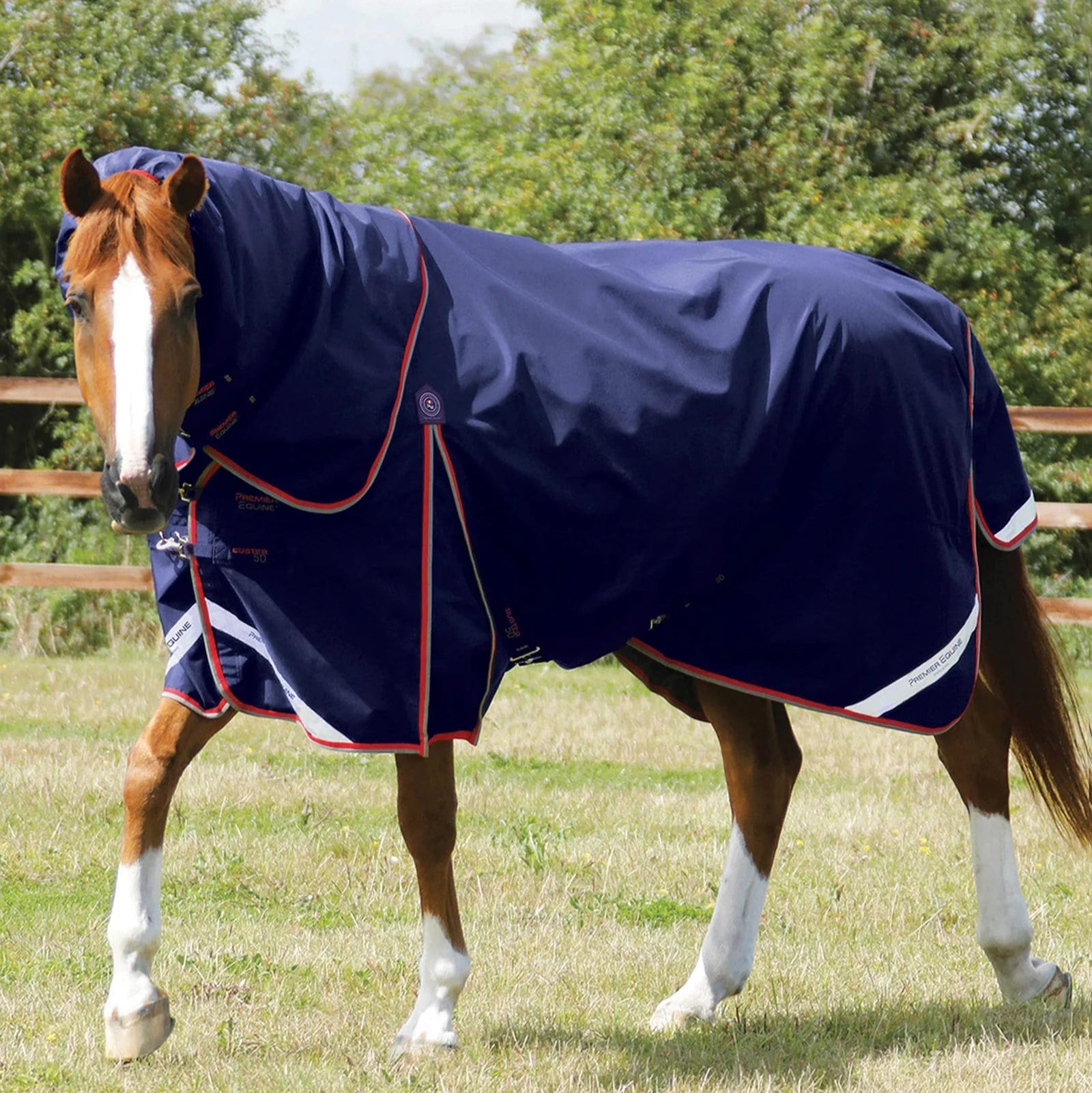 Premier Equine Buster 50g Turnout Rug with Snug-Fit Neck Cover Navy