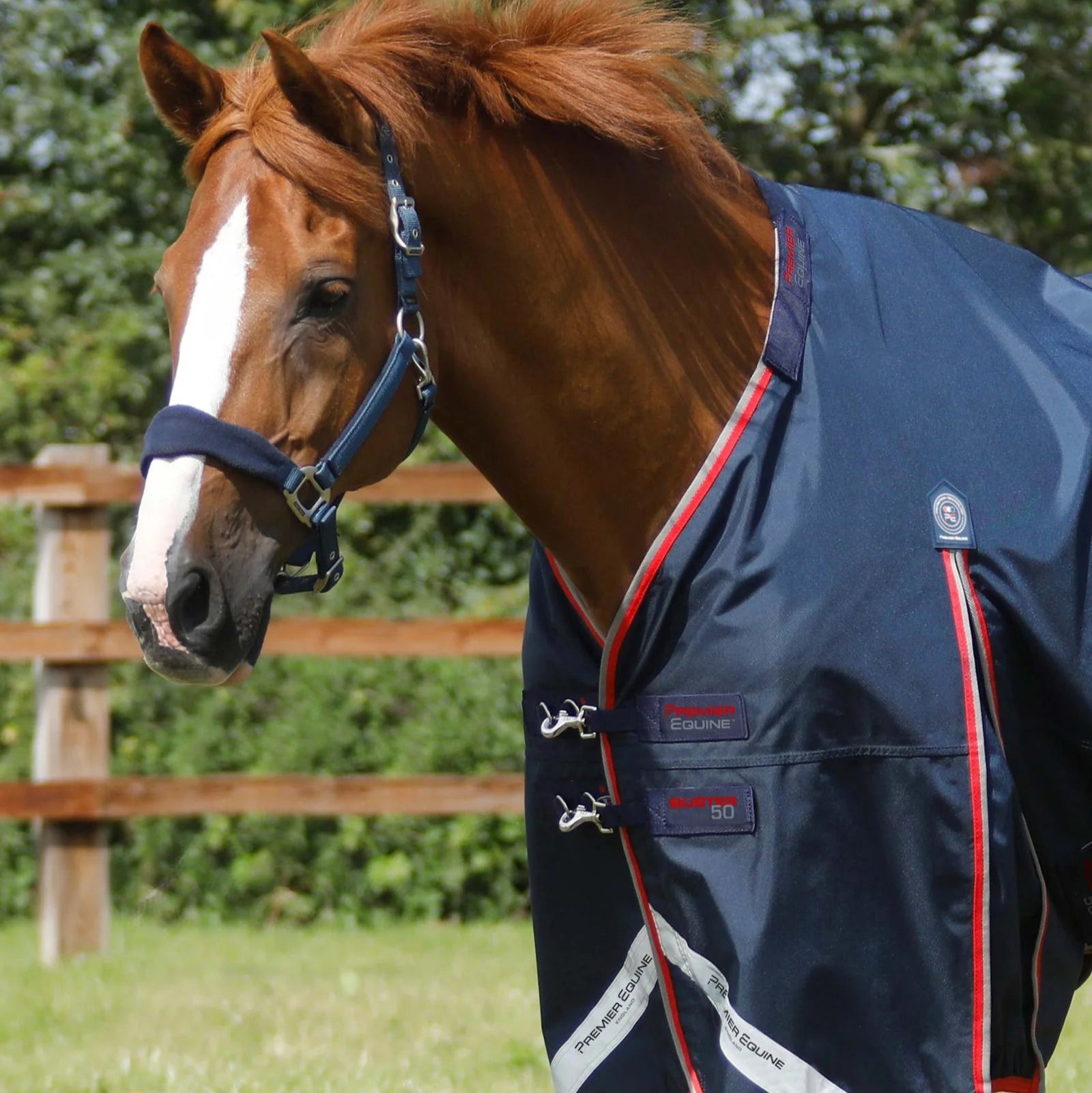 Premier Equine Buster 50g Turnout Rug with Snug-Fit Neck Cover Navy