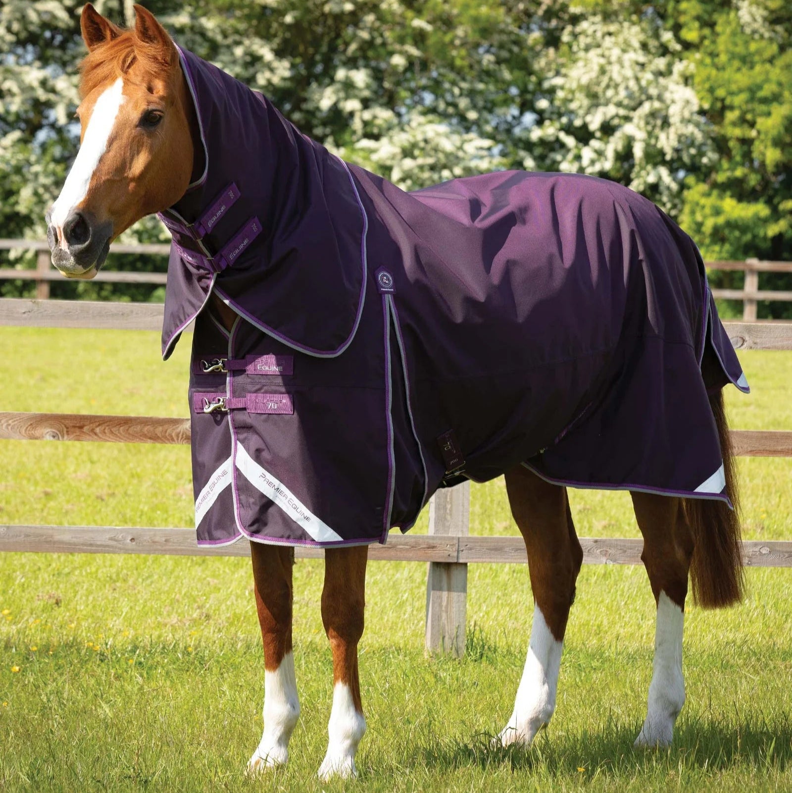 Premier Equine Buster 70g Turnout Rug with Classic Neck Cover Purple