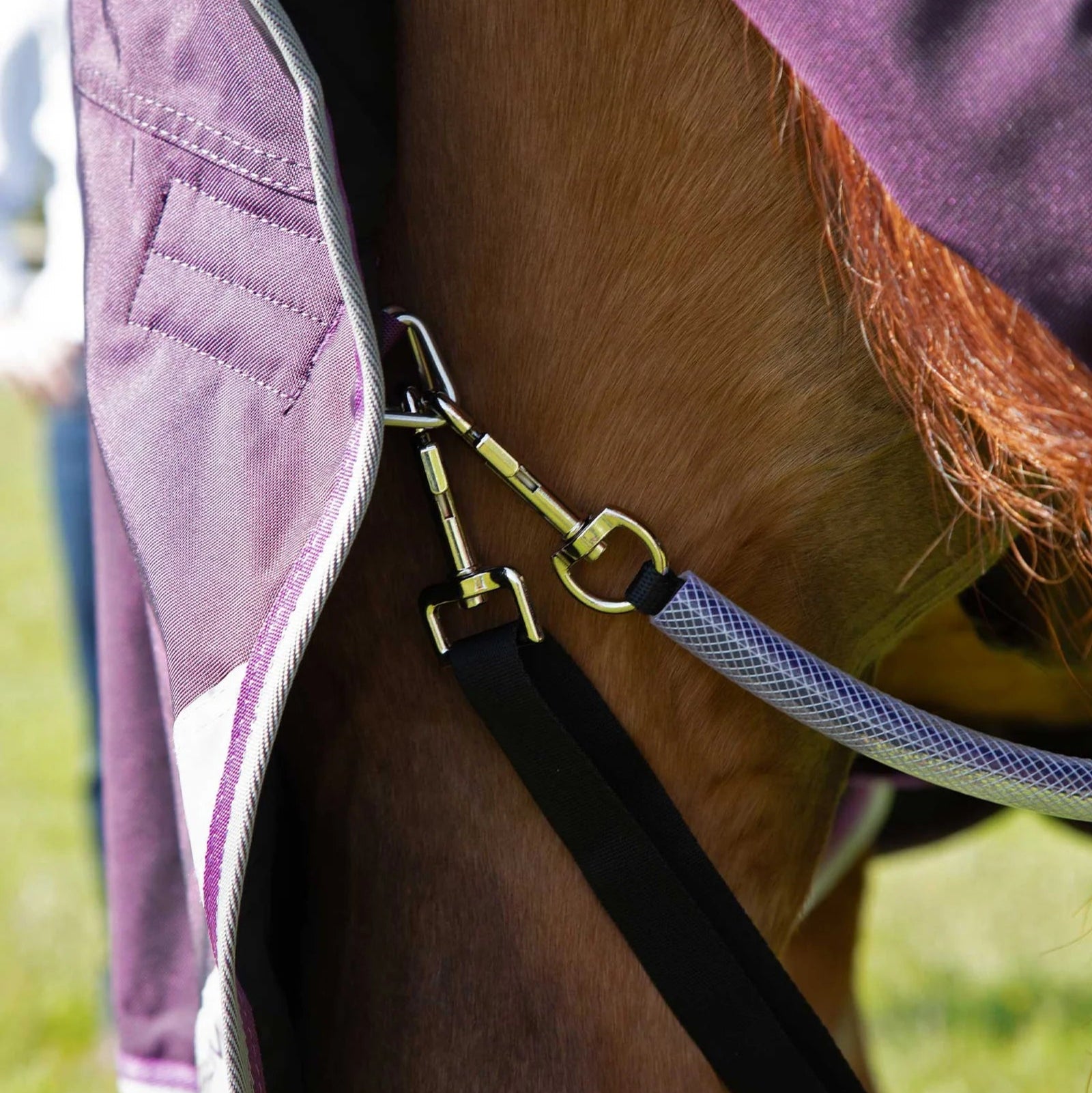 Premier Equine Buster 70g Turnout Rug with Classic Neck Cover Purple