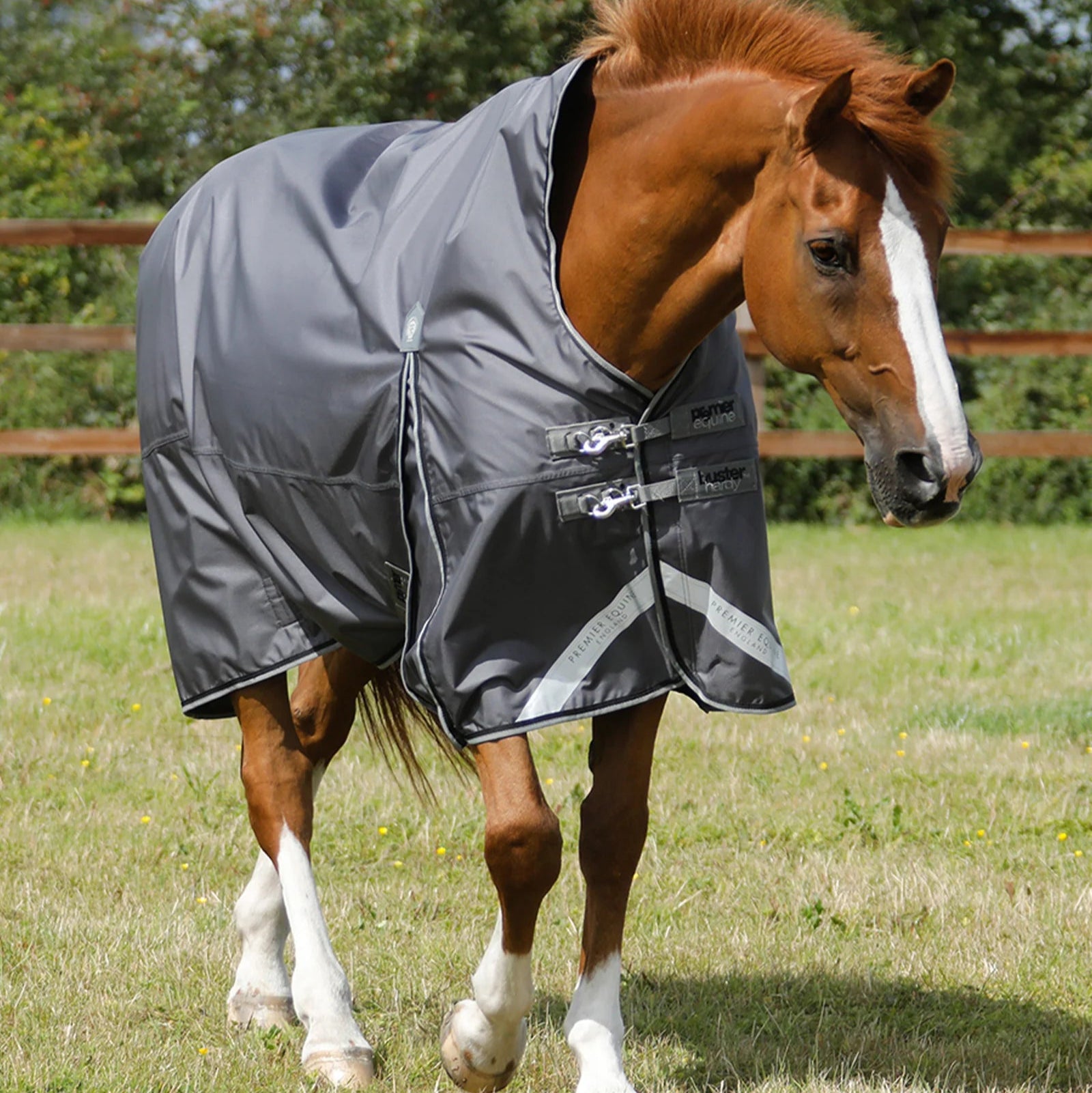 Premier Equine Buster Hardy 0g Half Neck Turnout Rug Grey