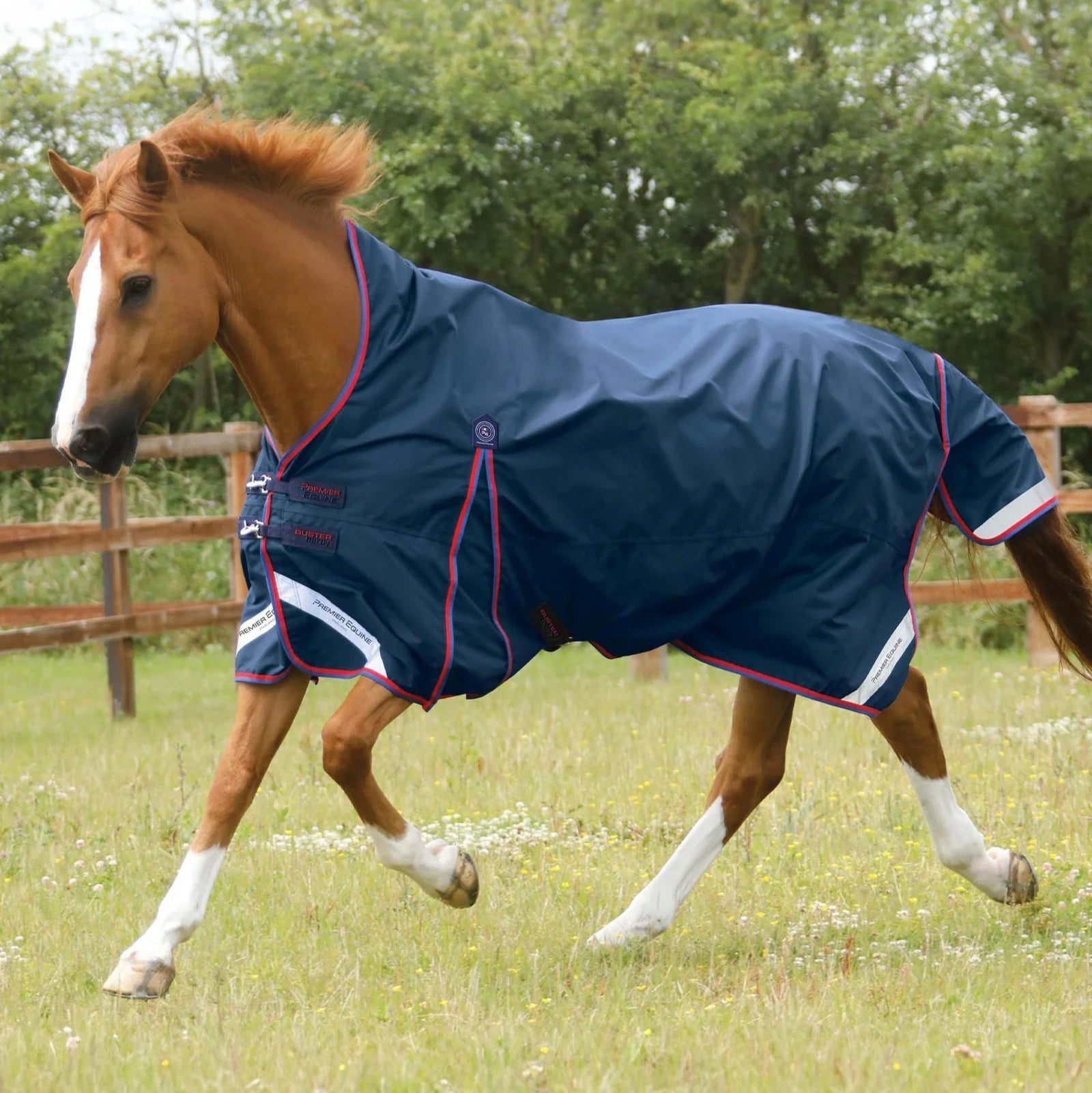 Premier Equine Buster Hardy 0g Half Neck Turnout Rug Navy