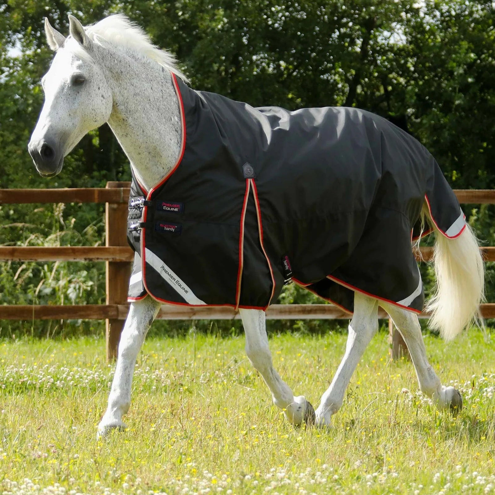 Premier Equine Buster Hardy 100g Half Neck Turnout Rug Black