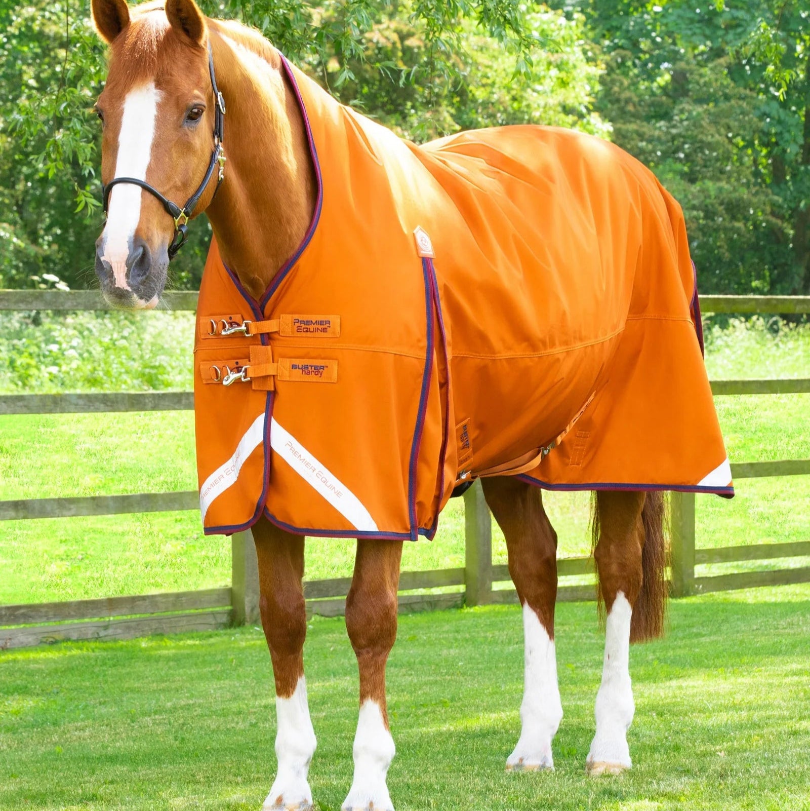 Premier Equine Buster Hardy 200g Half Neck Turnout Rug Burnt Orange