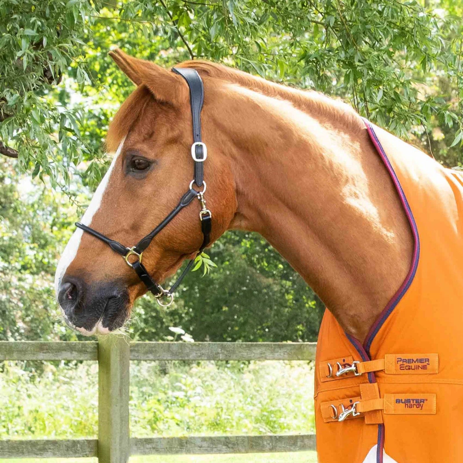 Premier Equine Buster Hardy 200g Half Neck Turnout Rug Burnt Orange