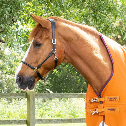 Premier Equine Buster Hardy 200g Half Neck Turnout Rug - Burnt Orange. Horse wearing waterproof rug by Equiflair