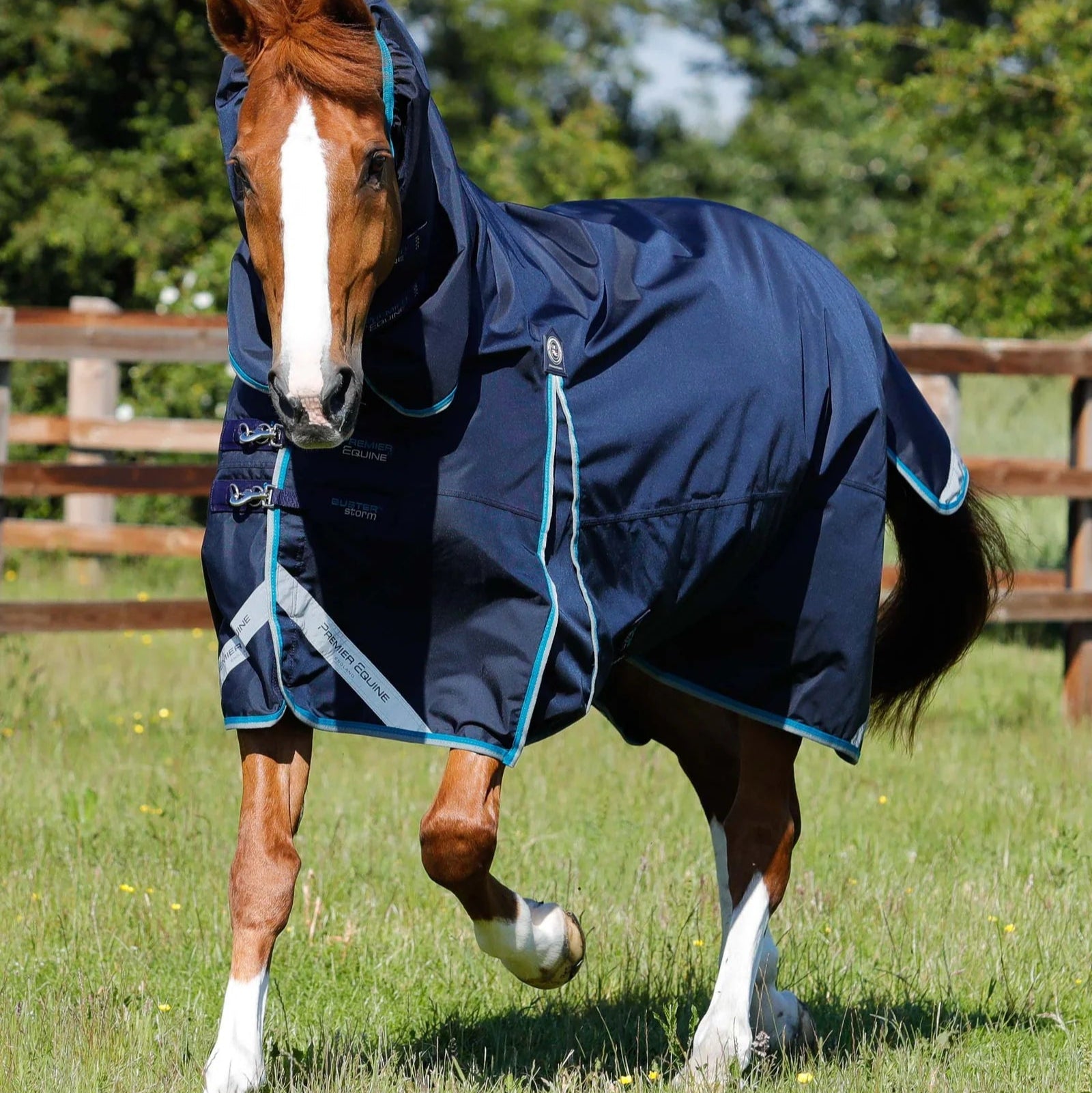 Premier Equine Buster Storm 100g Combo Turnout Rug with Snug-Fit Neck Navy