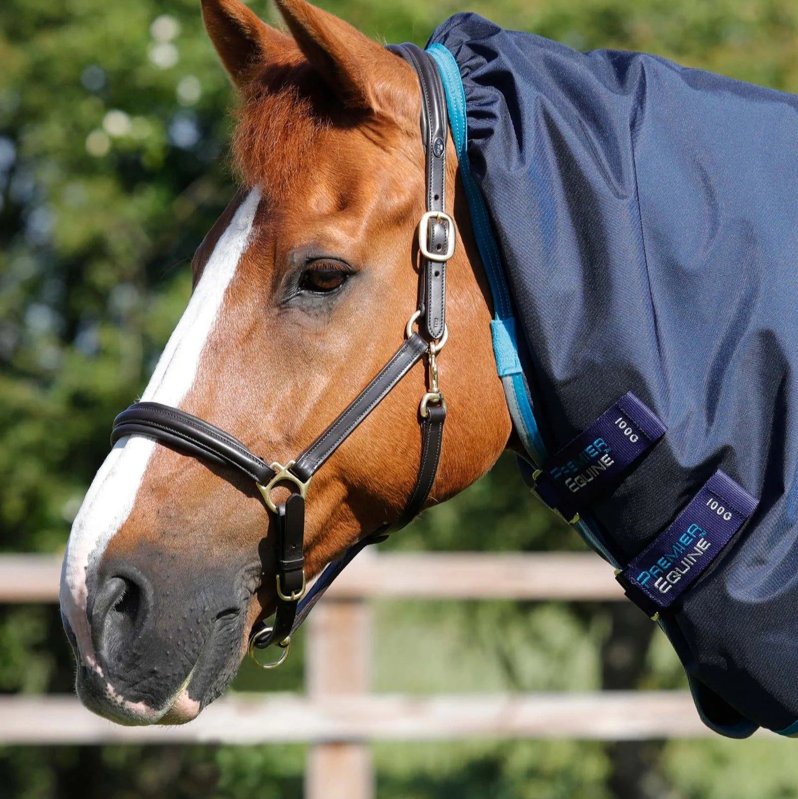 Premier Equine Buster Storm 100g Combo Turnout Rug with Snug-Fit Neck Navy