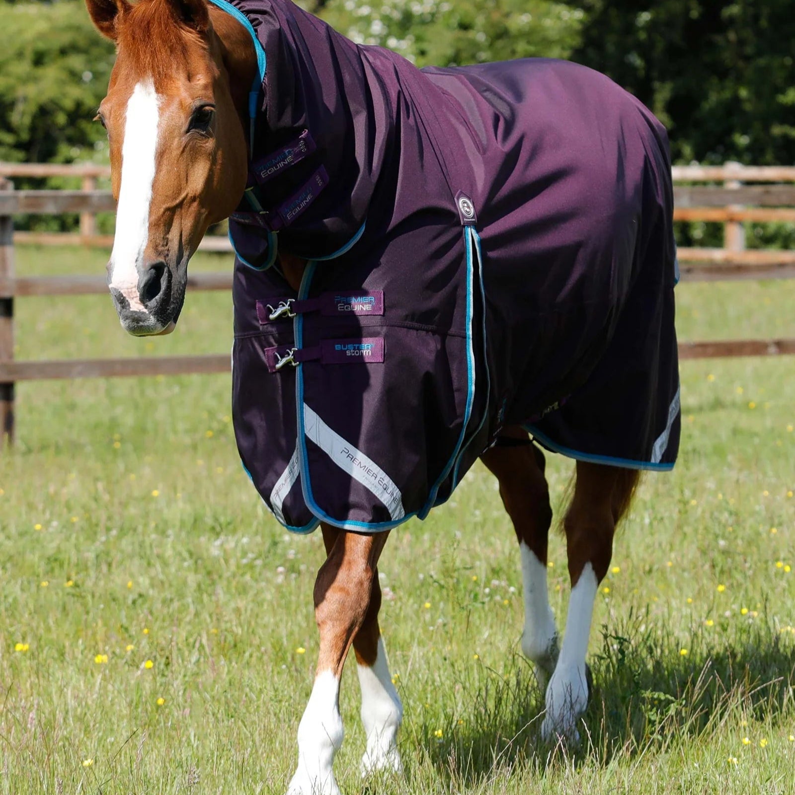 Premier Equine Buster Storm 100g Combo Turnout Rug with Snug-Fit Neck Purple