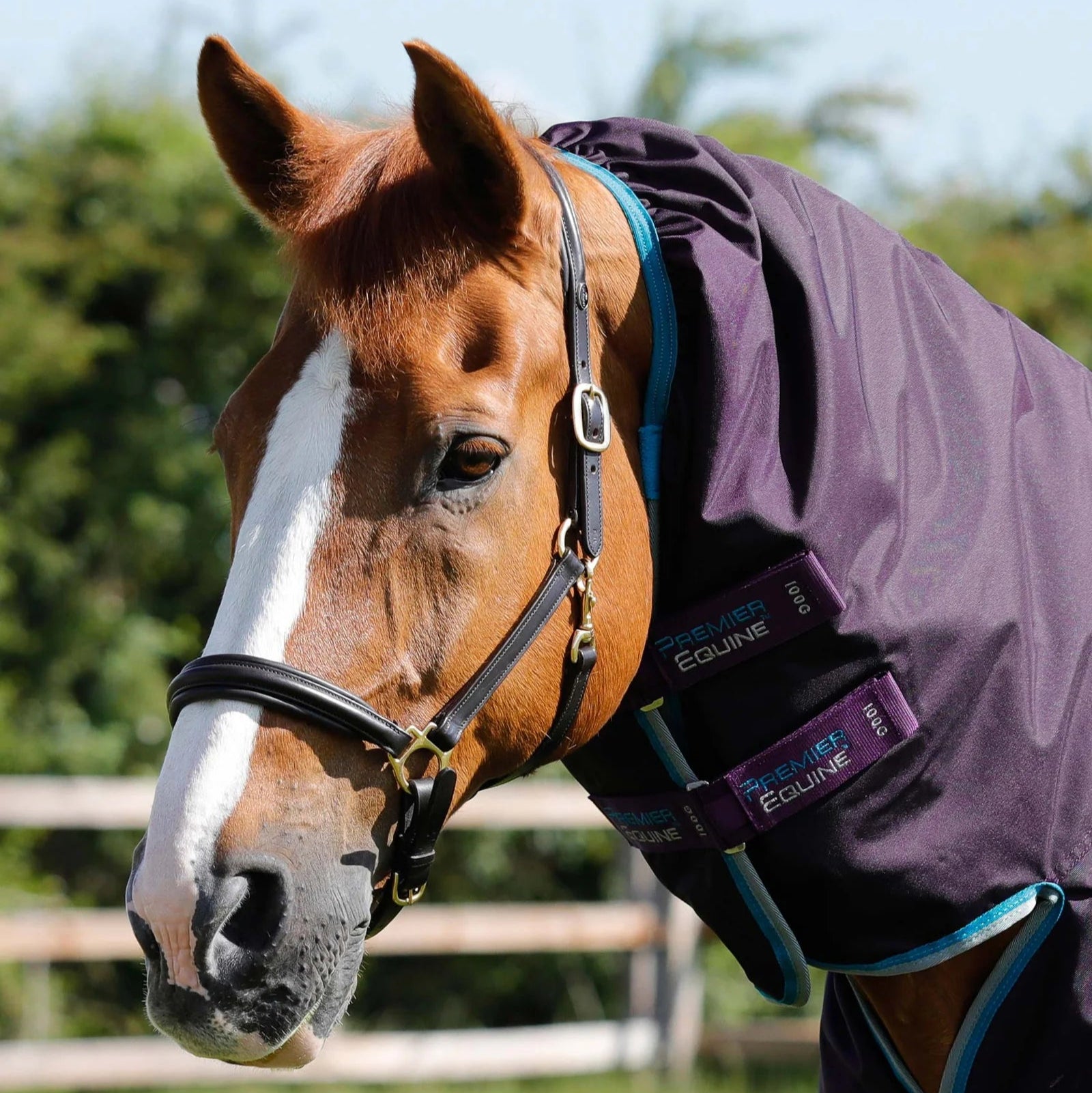 Premier Equine Buster Storm 100g Combo Turnout Rug with Snug-Fit Neck Purple