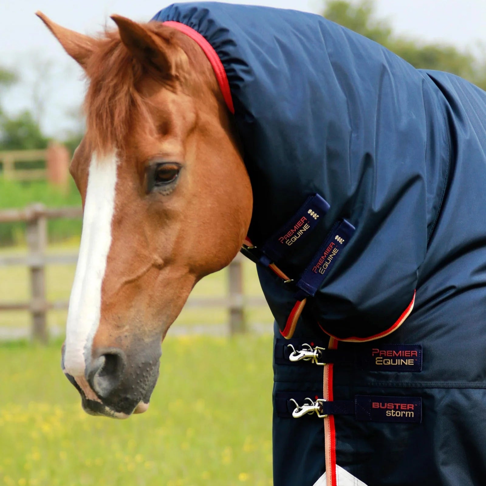 Premier Equine Buster Storm 200g Combo Turnout Rug with Snug-Fit Neck Navy
