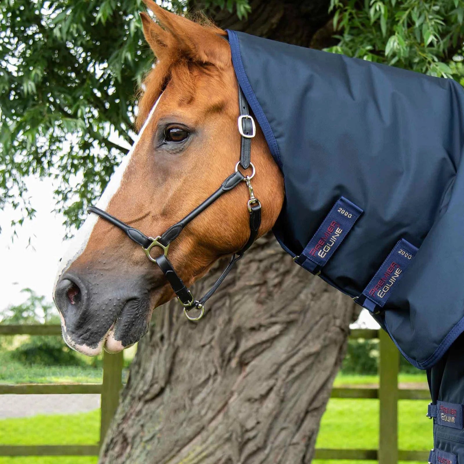 Premier Equine Buster Storm 220g Combo Turnout Rug with Classic Neck Navy