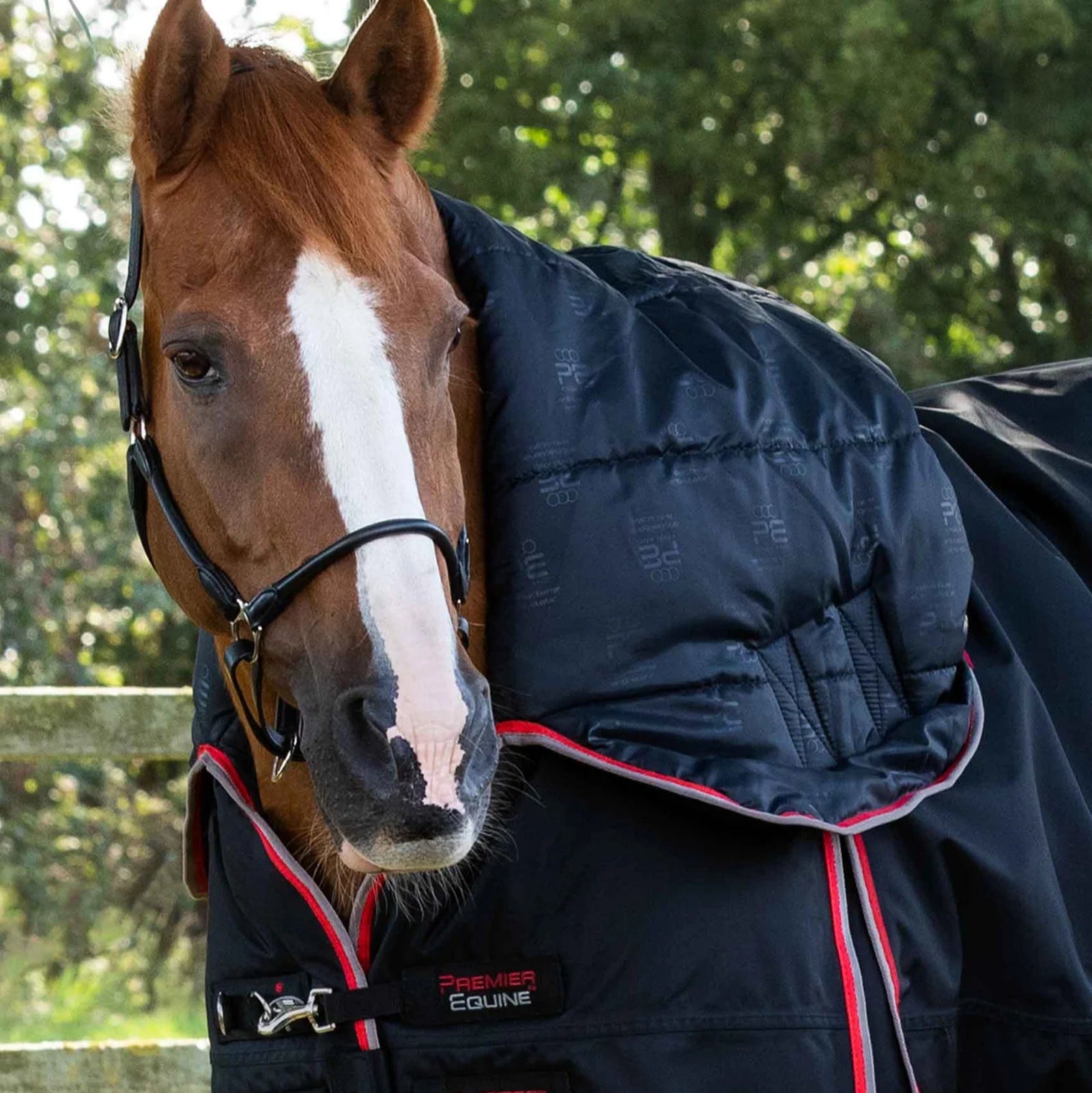 Premier Equine Buster Storm 400g Combo Turnout Rug with Snug-Fit Neck Black