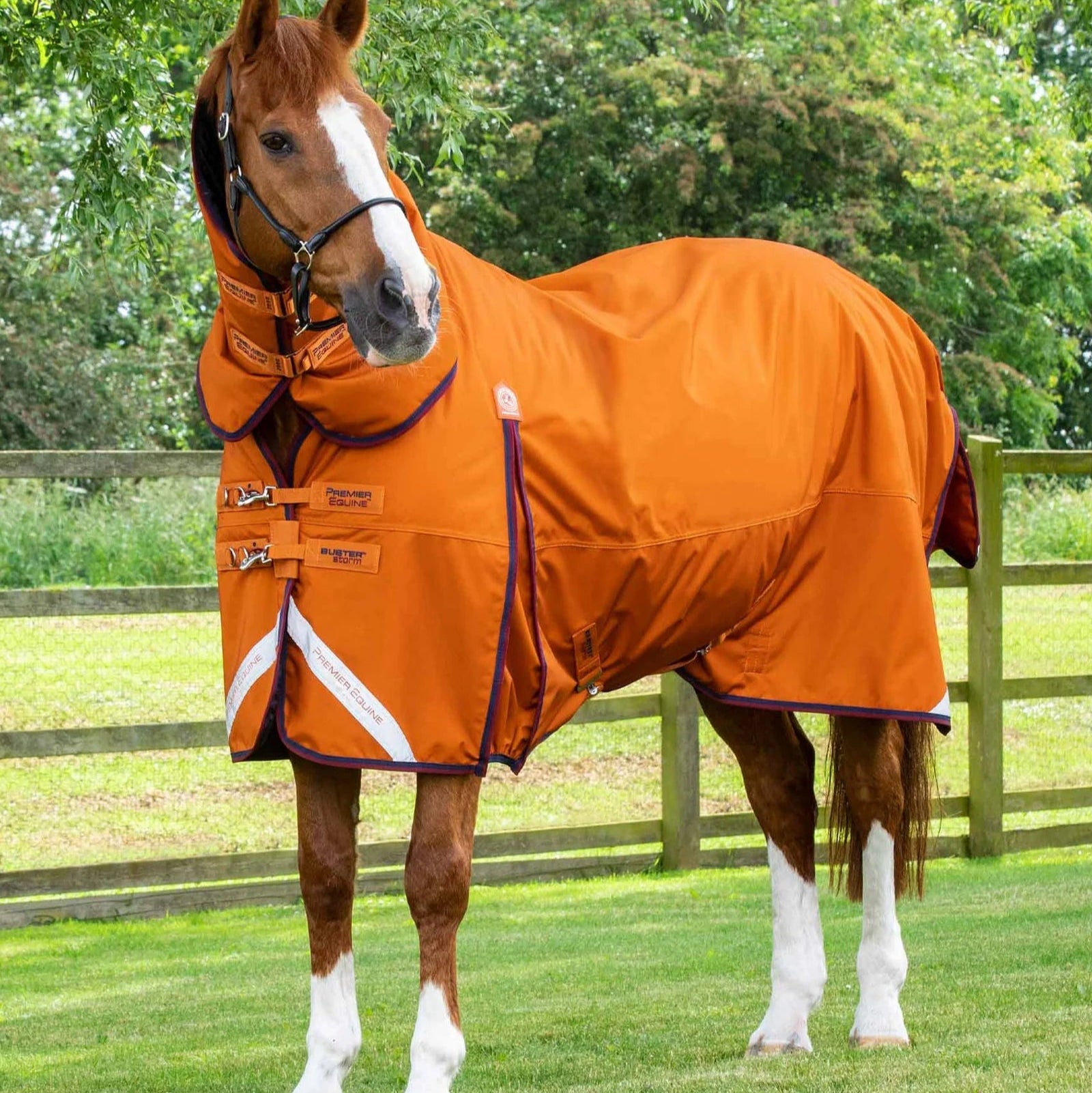 Premier Equine Buster Storm 200g Combo Turnout Rug with Classic Neck Burnt Orange