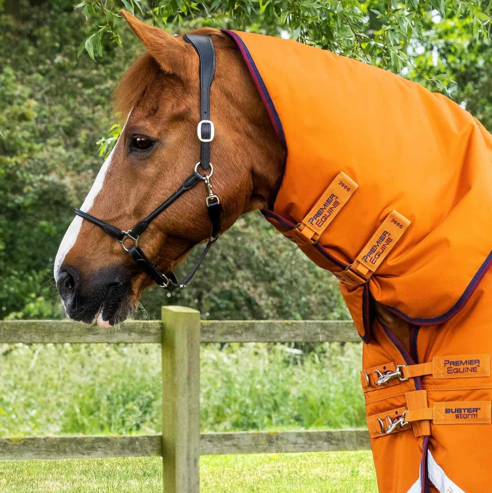Premier Equine Buster Storm 200g Combo Turnout Rug with Classic Neck Burnt Orange