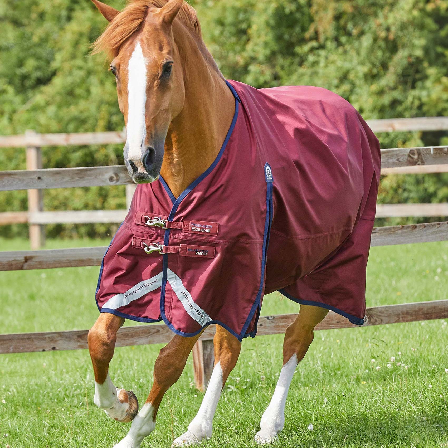 Premier Equine Buster Zero Original Turnout Rug Burgundy