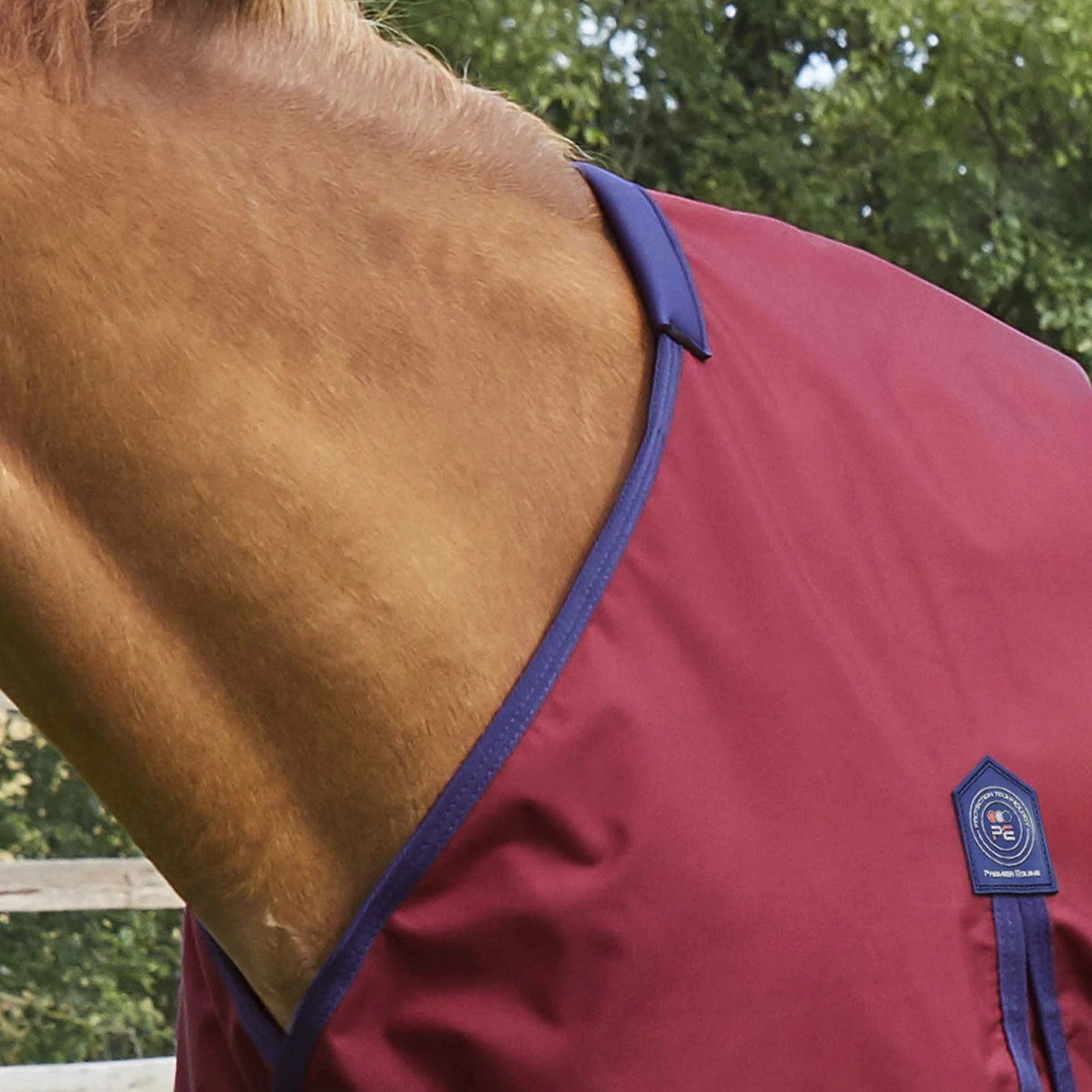 Premier Equine Buster Zero Original Turnout Rug Burgundy