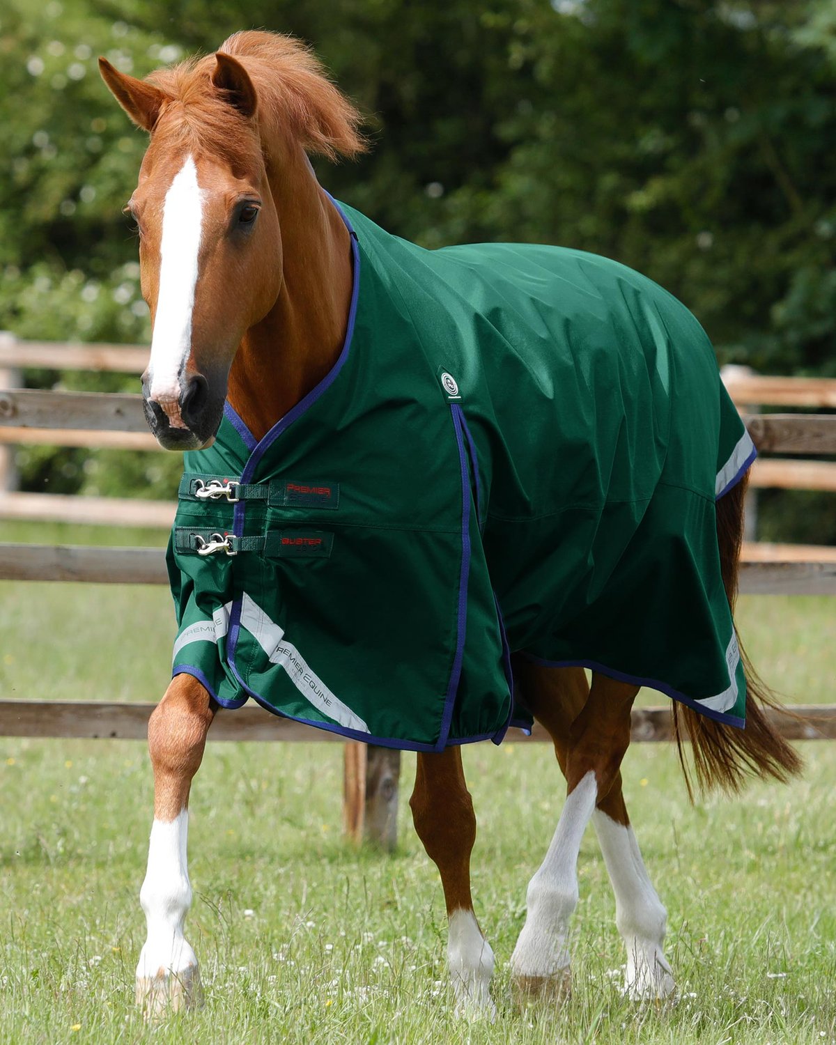 Premier Equine Buster Zero Original Turnout Rug Green