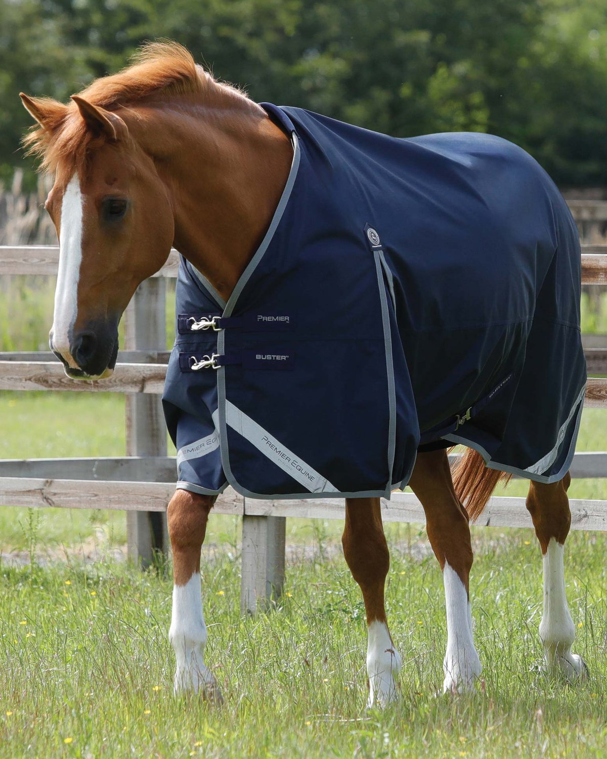 Premier Equine Buster Zero Original Turnout Rug Navy