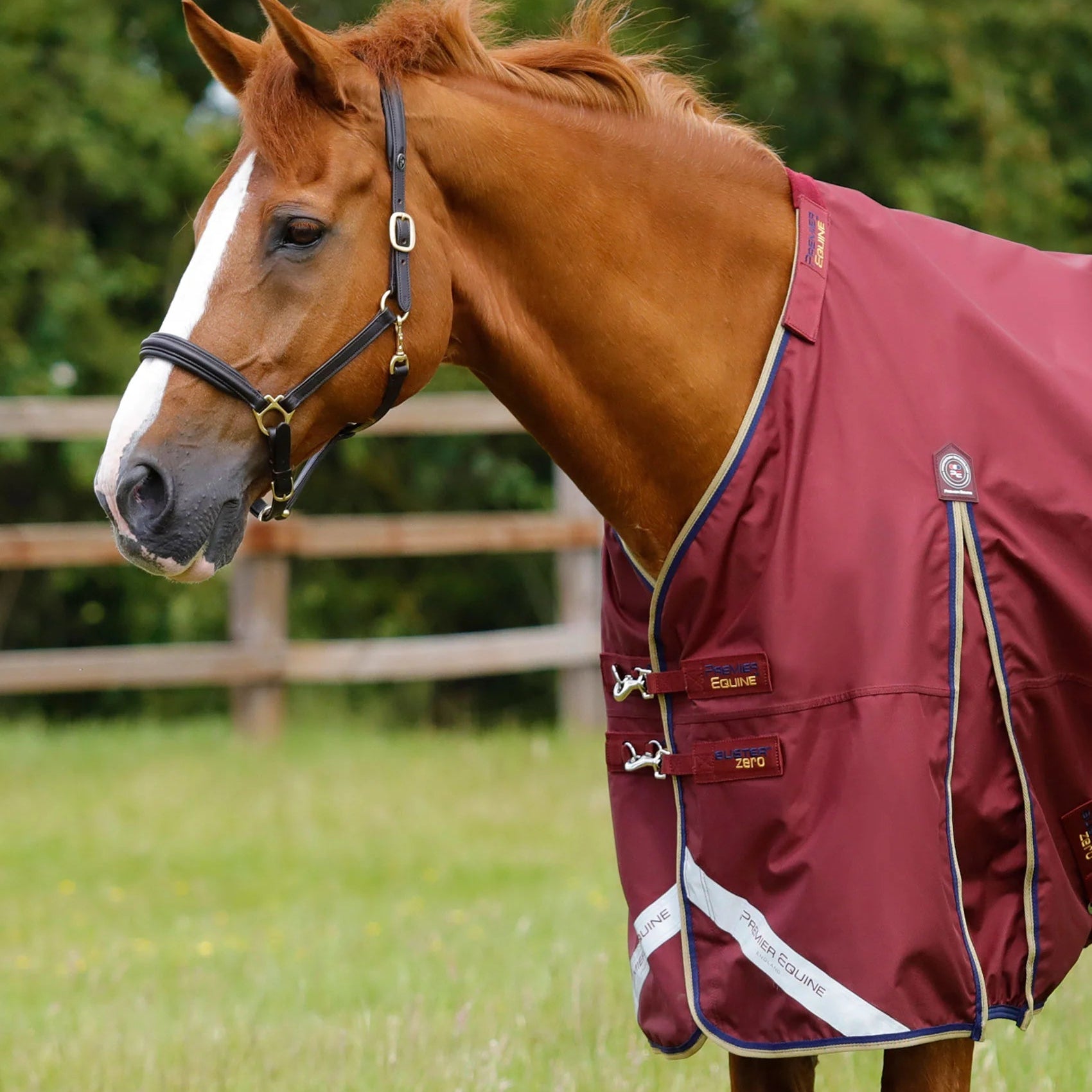 Premier Equine Buster Zero Turnout Rug with Classic Neck Cover Burgundy