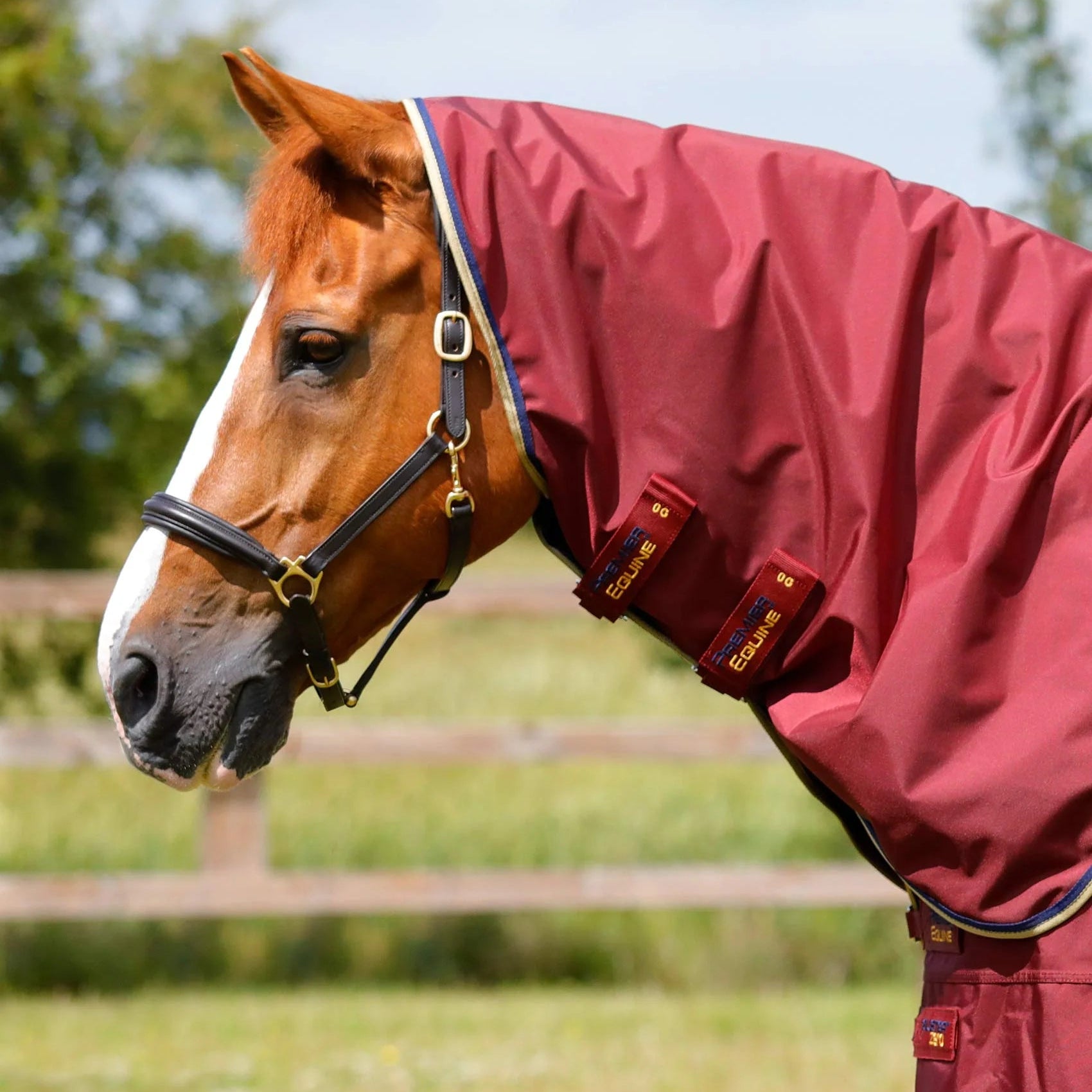 Premier Equine Buster Zero Turnout Rug with Classic Neck Cover Burgundy