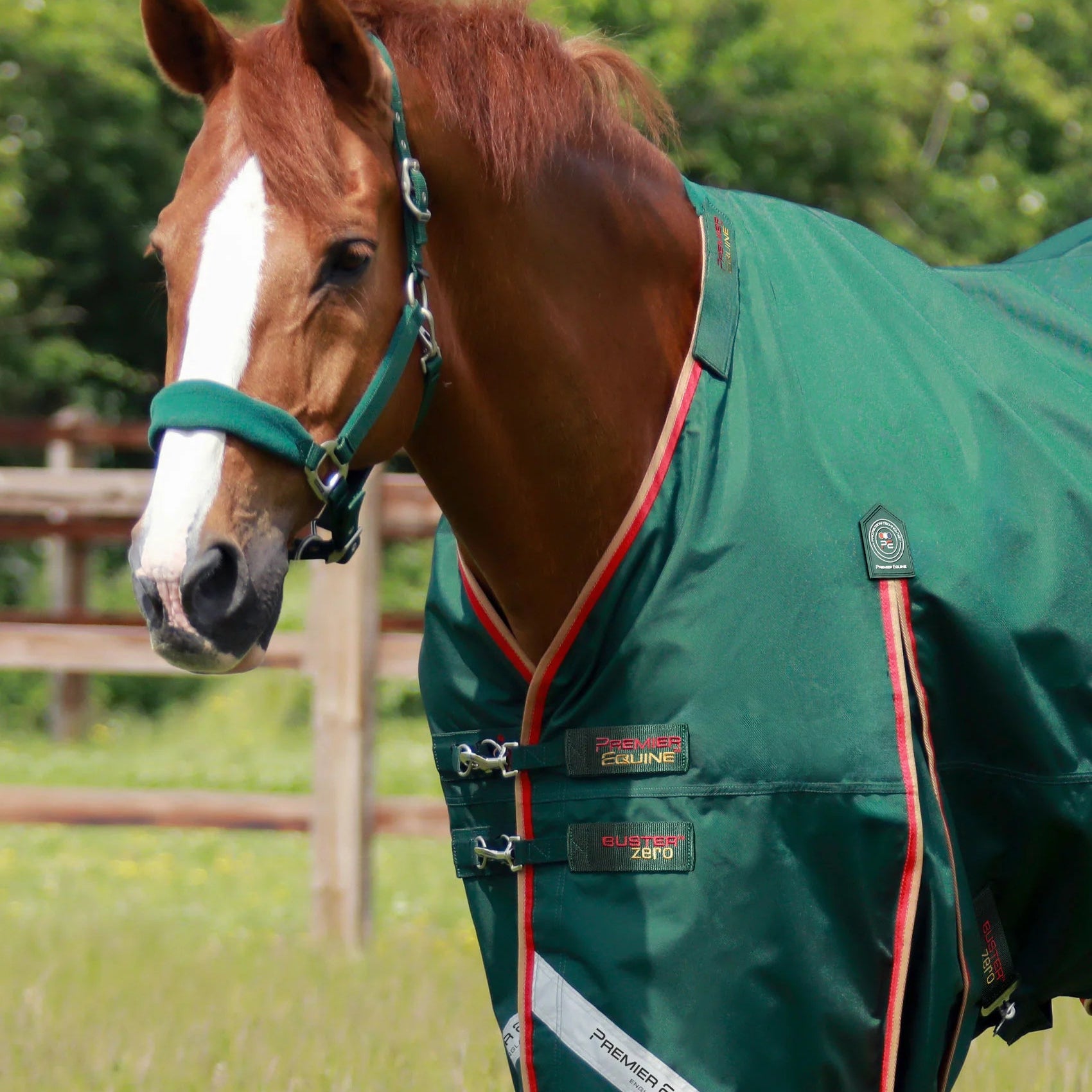 Premier Equine Buster Zero Turnout Rug with Classic Neck Cover Green