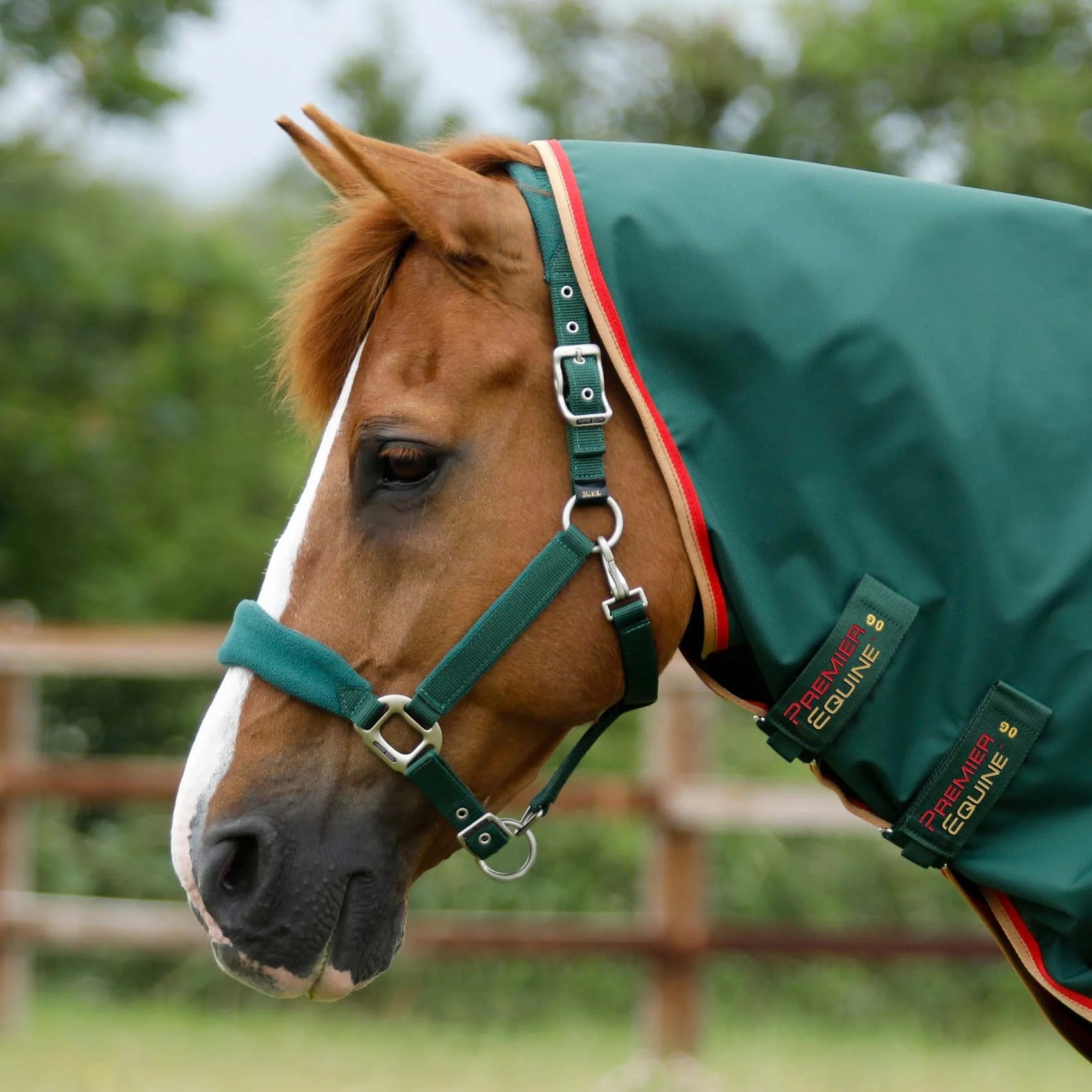 Premier Equine Buster Zero Turnout Rug with Classic Neck Cover Green