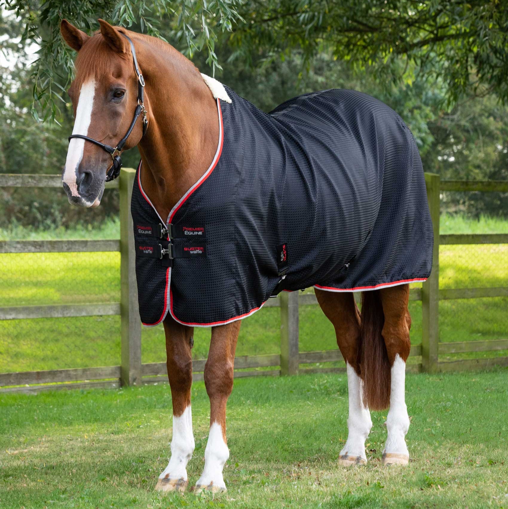 Black Premier Equine Buster Waffle Horse Cooler Rug | Breathable Equine Cooler Rug by Equiflair