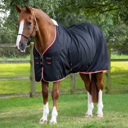 Black Premier Equine Buster Waffle Horse Cooler Rug | Breathable Equine Cooler Rug by Equiflair