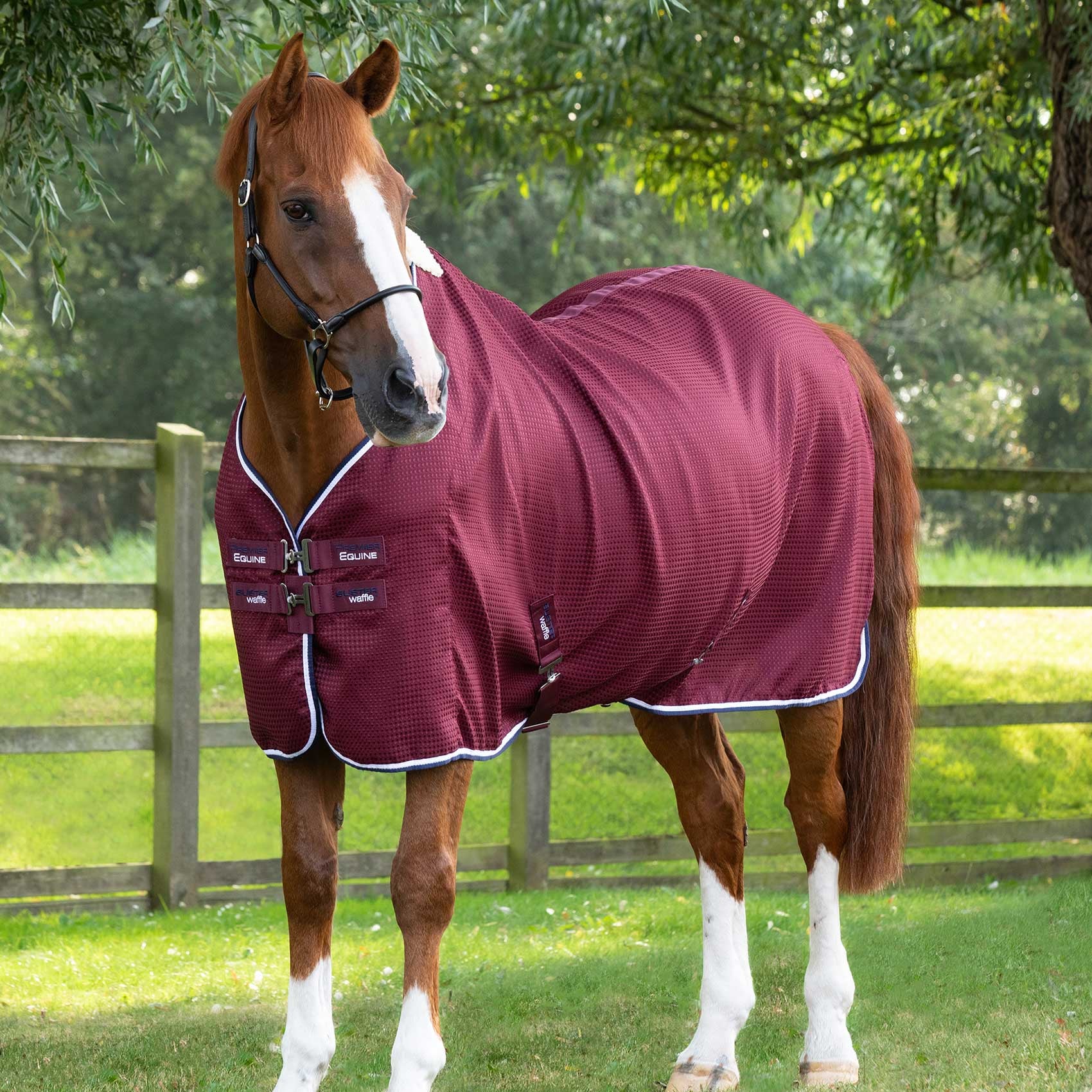 Premier Equine Buster Waffle Horse Cooler Rug Burgundy | Equiflair